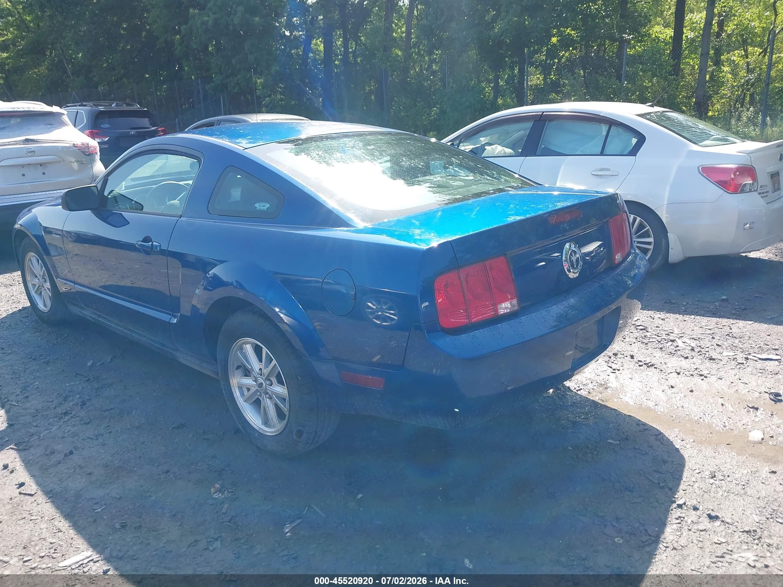 2006 Ford Mustang V6 Blue vin: 1ZVFT80N165161641