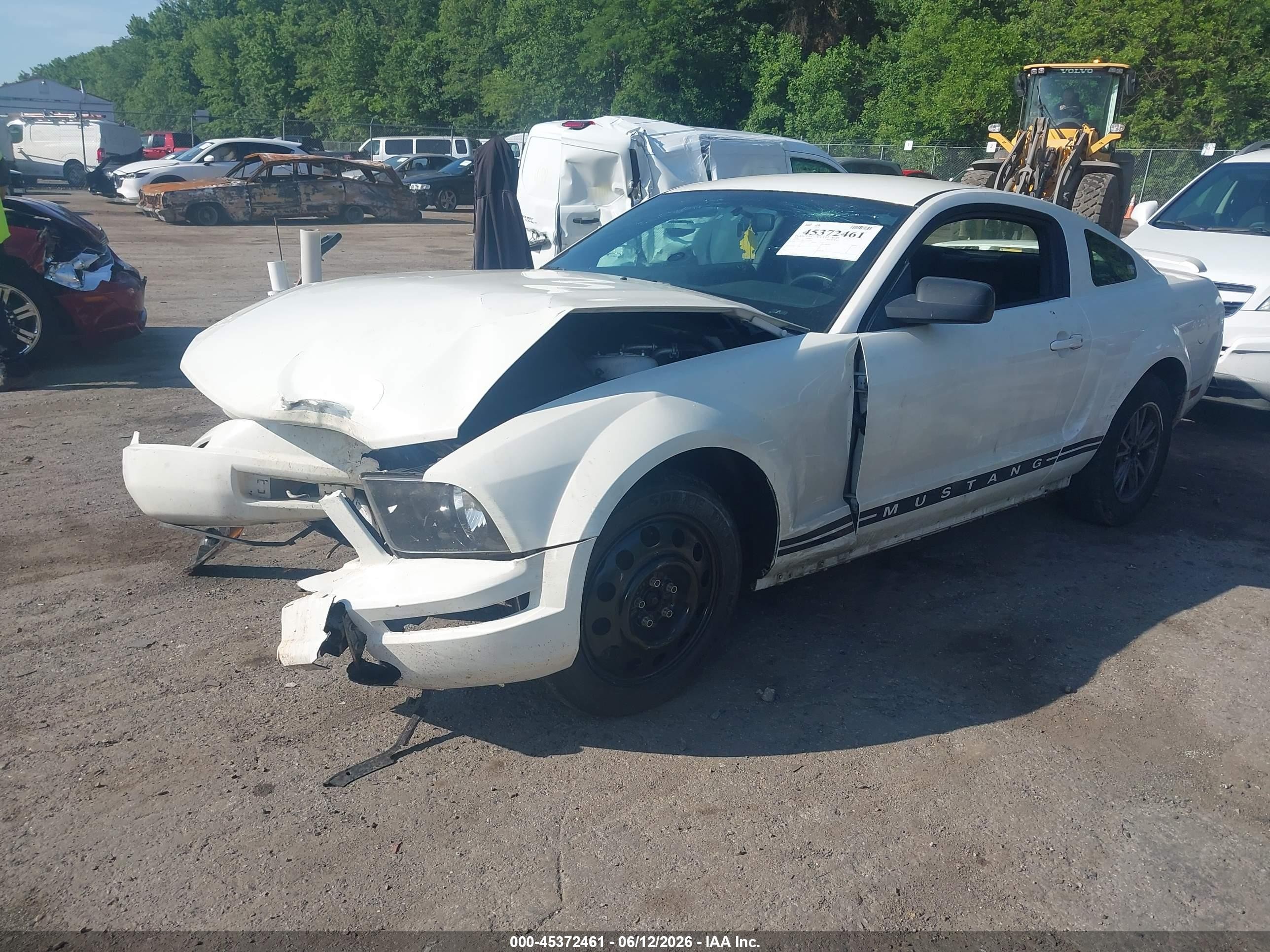 2006 Ford Mustang V6 White vin: 1ZVFT80N165174745