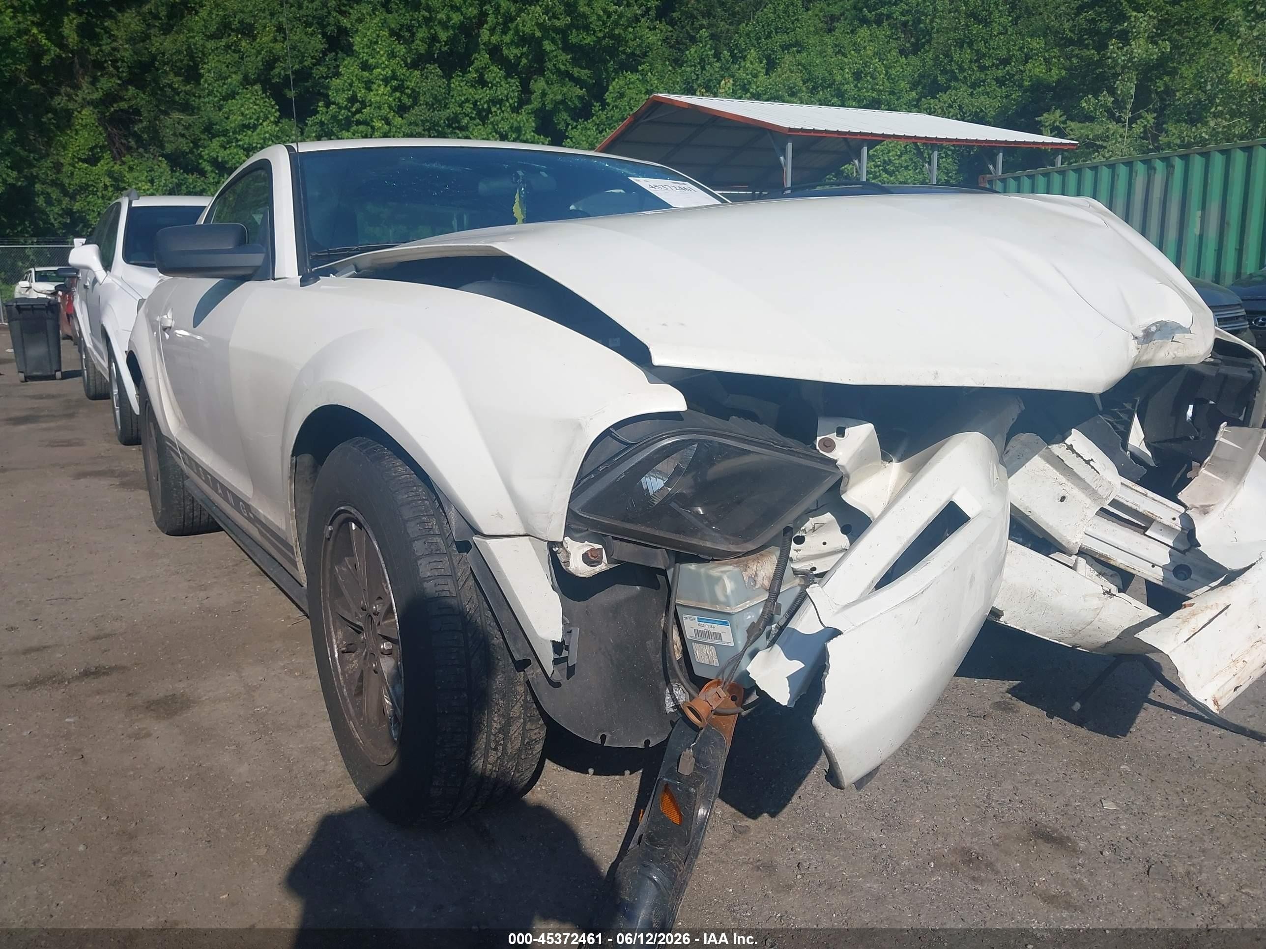 2006 Ford Mustang V6 White vin: 1ZVFT80N165174745