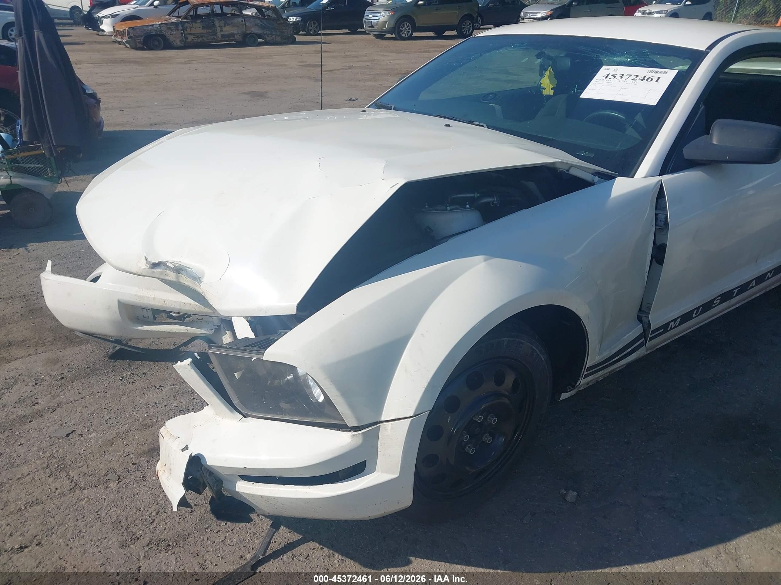 2006 Ford Mustang V6 White vin: 1ZVFT80N165174745
