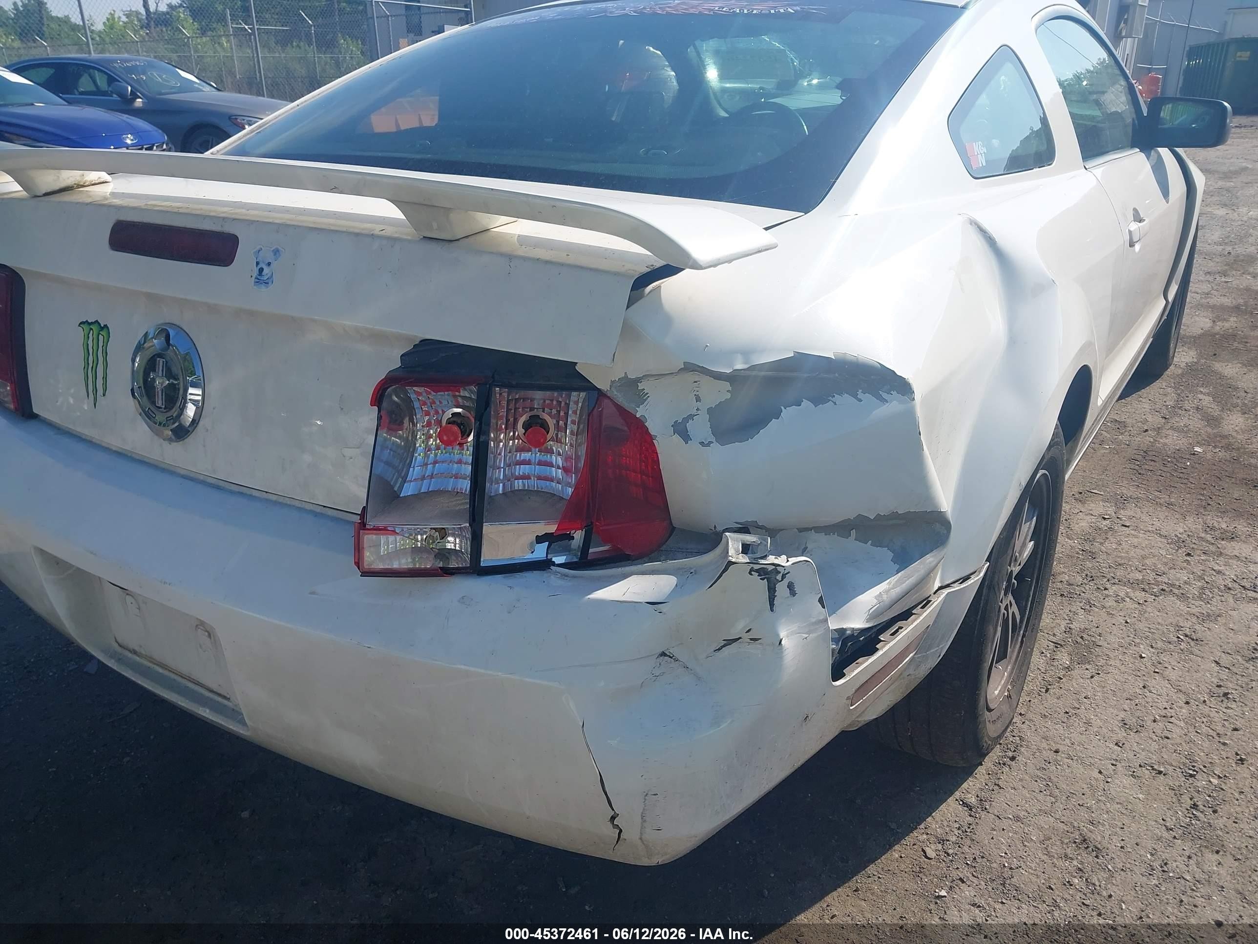 2006 Ford Mustang V6 White vin: 1ZVFT80N165174745