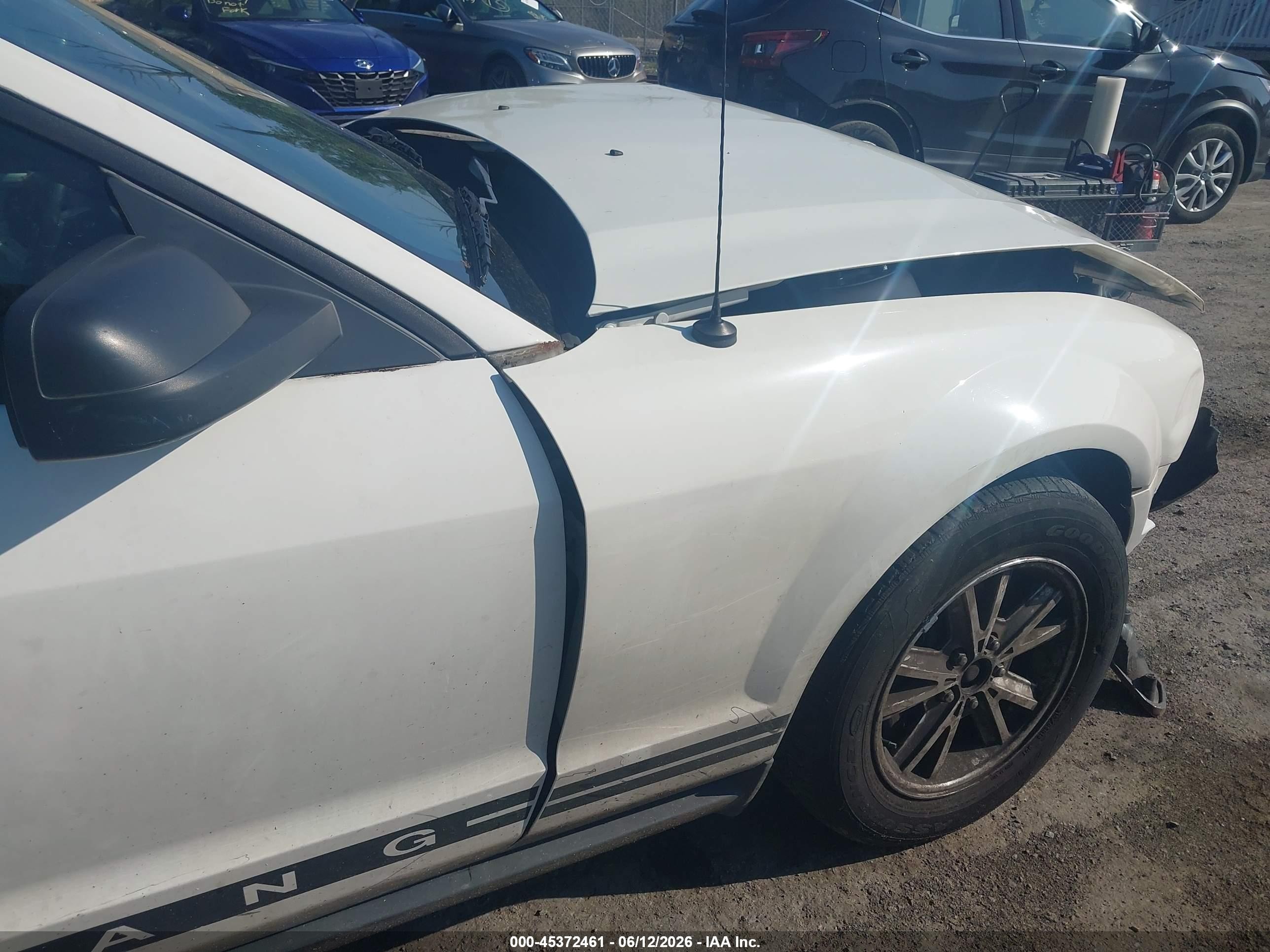 2006 Ford Mustang V6 White vin: 1ZVFT80N165174745