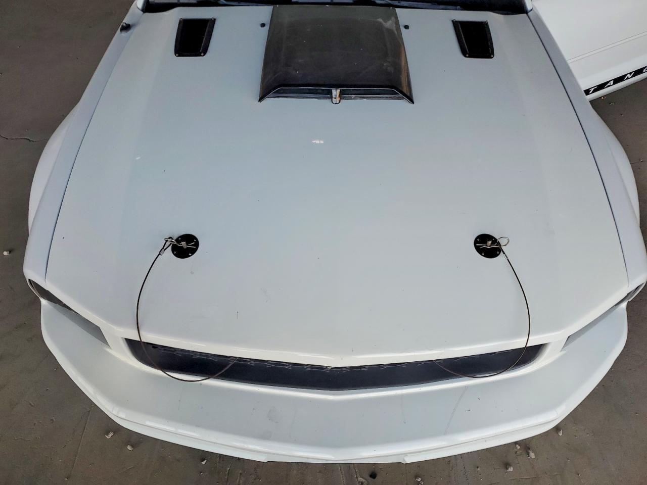2006 Ford Mustang White vin: 1ZVFT80N165201930