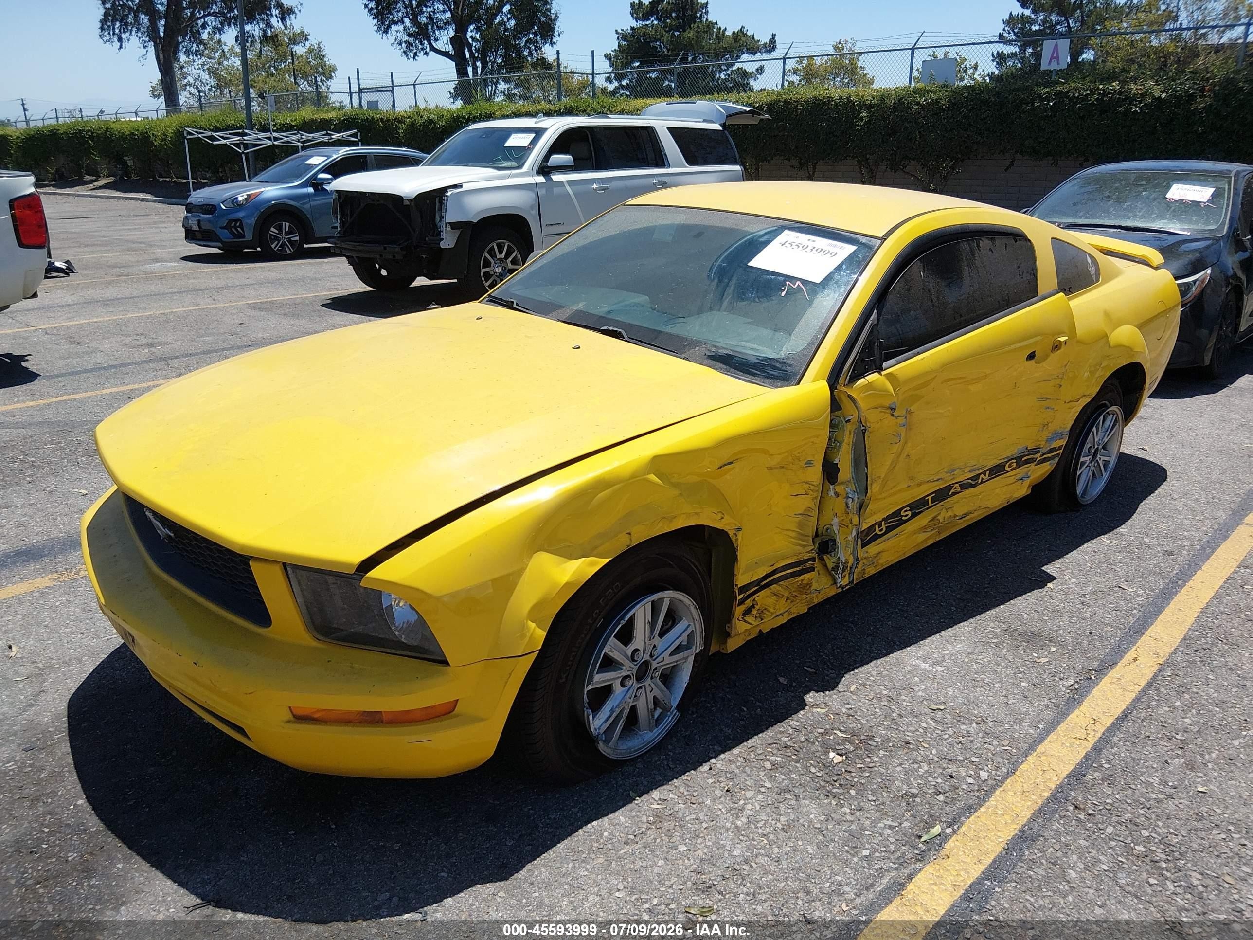 2006 Ford Mustang V6 Yellow vin: 1ZVFT80N165211809