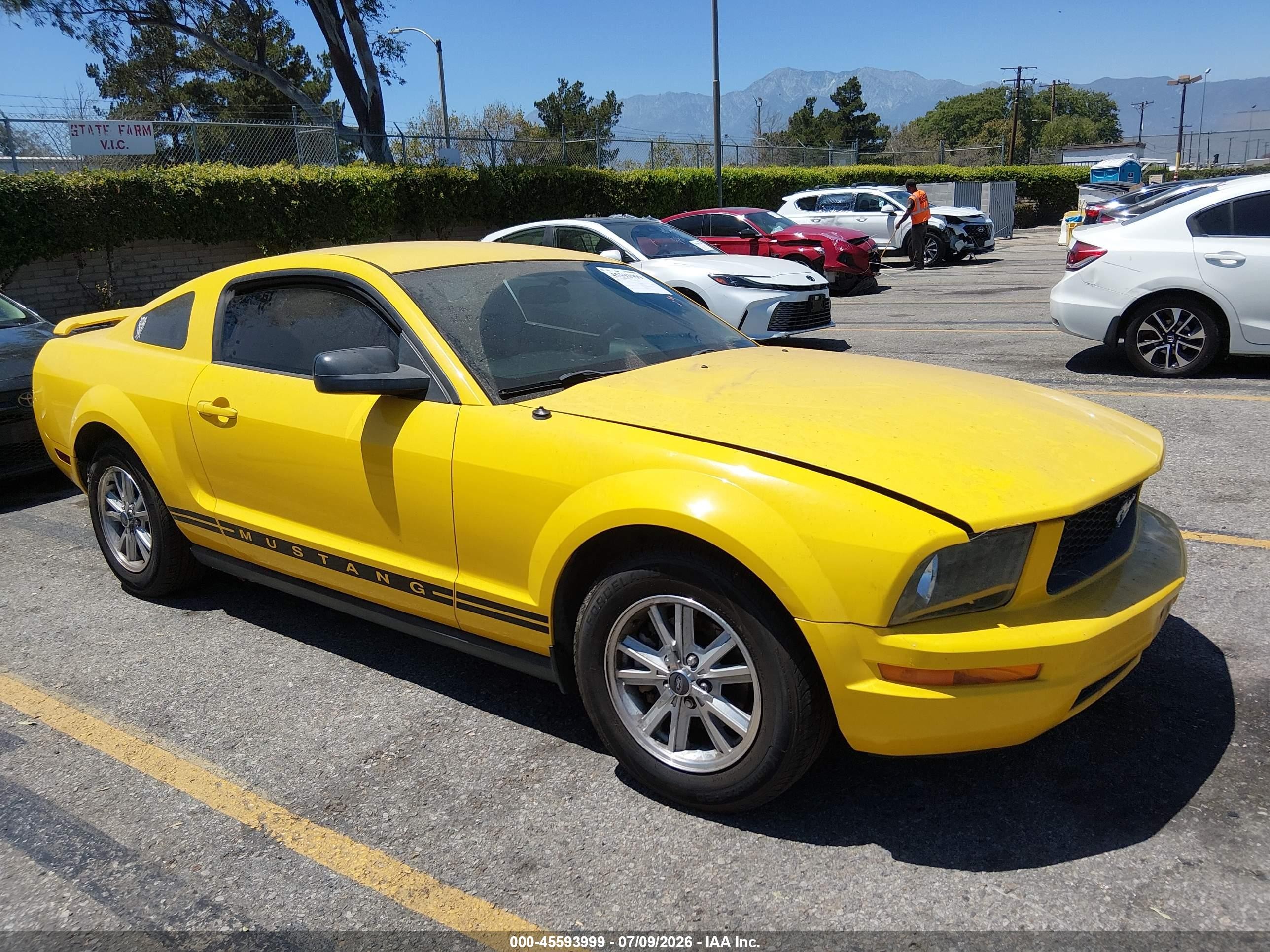 2006 Ford Mustang V6 Yellow vin: 1ZVFT80N165211809