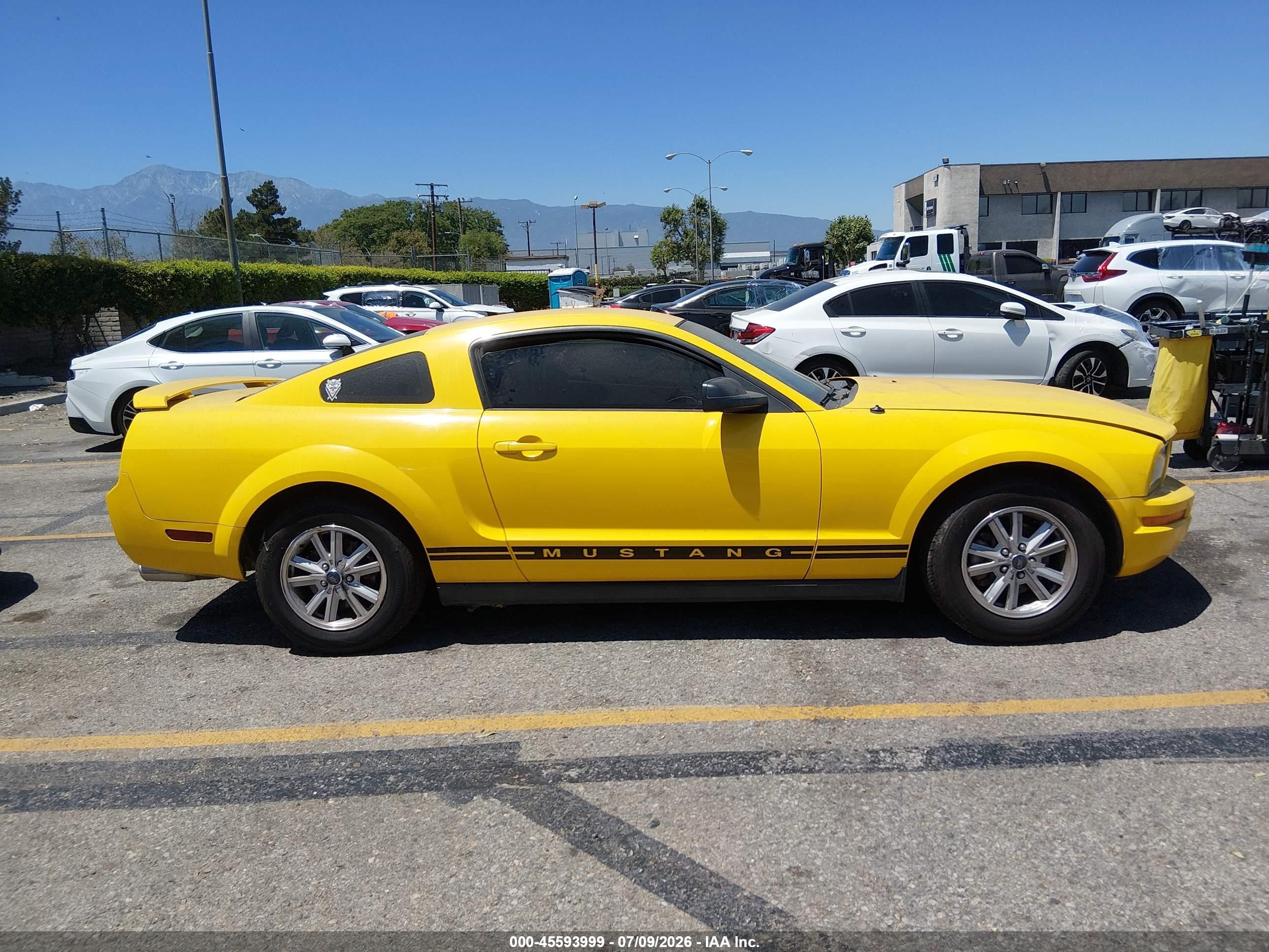 2006 Ford Mustang V6 Yellow vin: 1ZVFT80N165211809