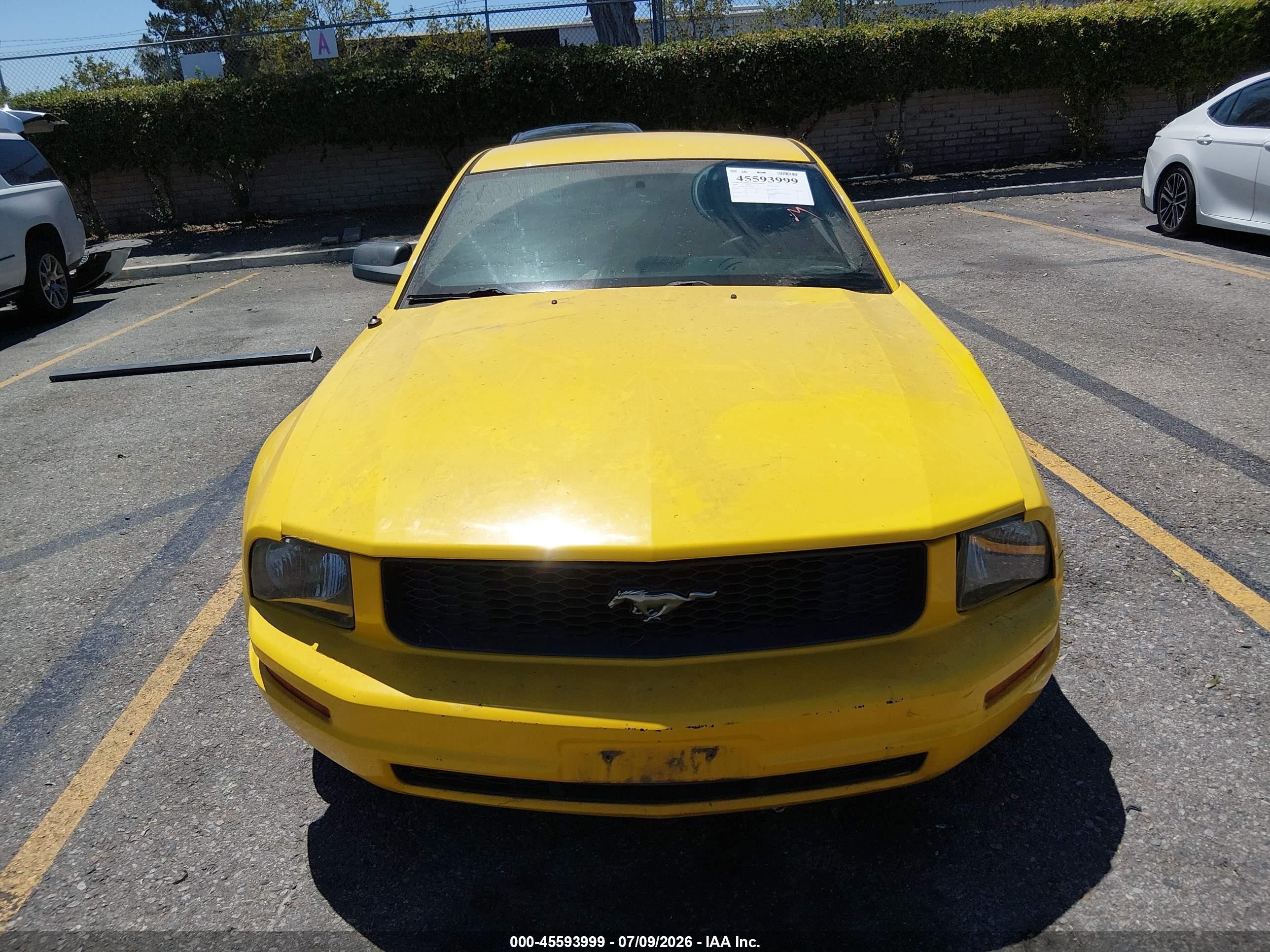2006 Ford Mustang V6 Yellow vin: 1ZVFT80N165211809