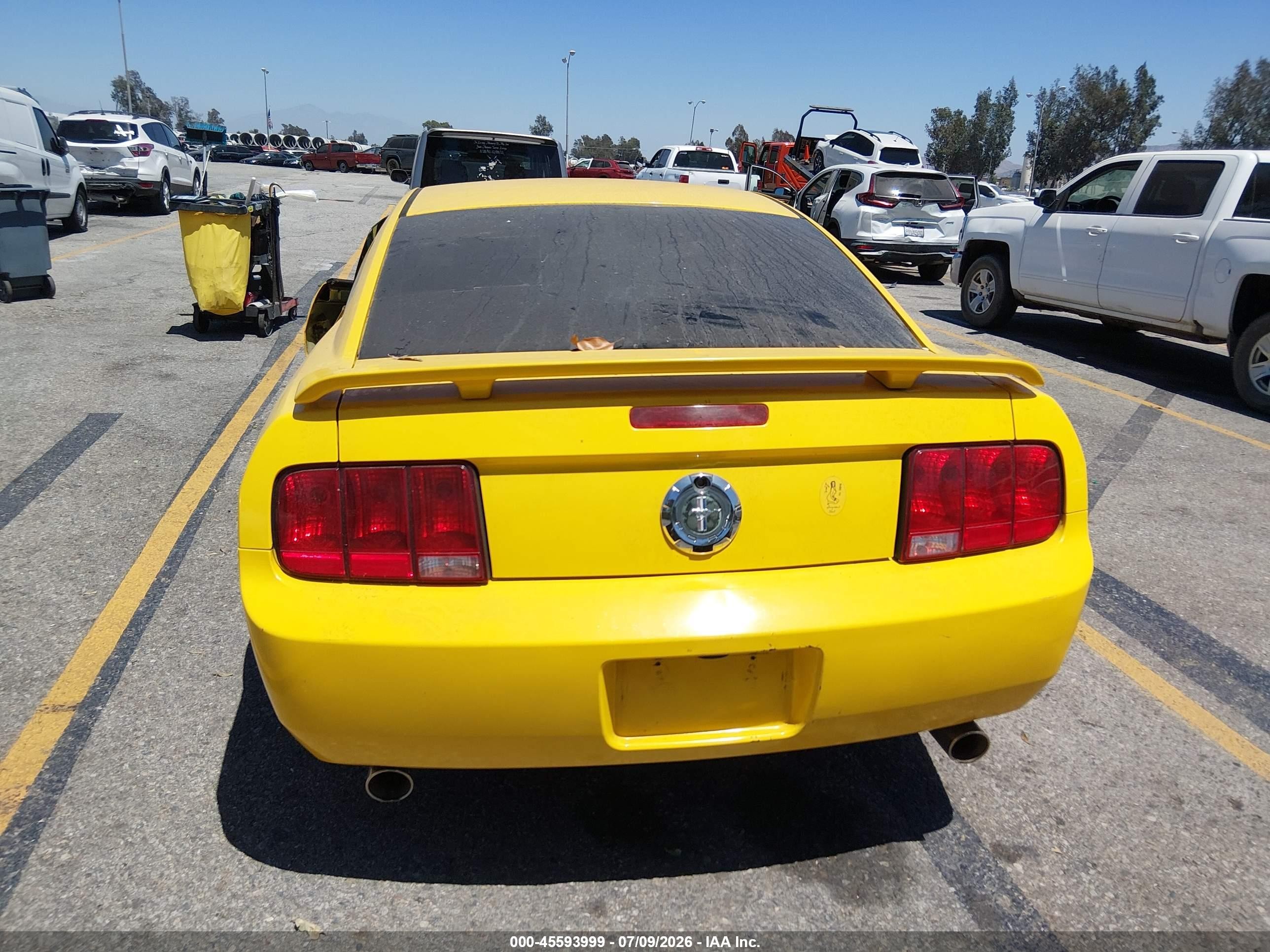 2006 Ford Mustang V6 Yellow vin: 1ZVFT80N165211809