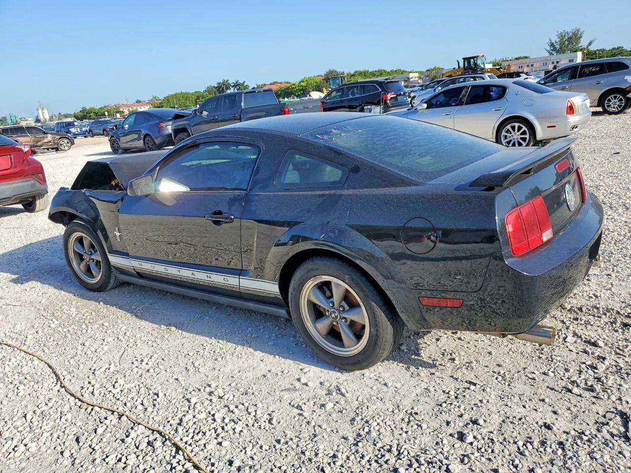 2006 Ford Mustang Black vin: 1ZVFT80N165222812