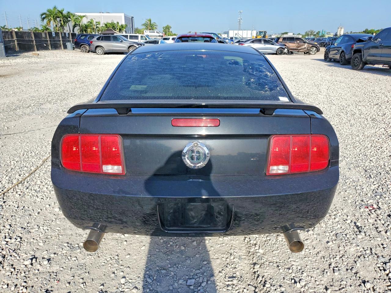2006 Ford Mustang Black vin: 1ZVFT80N165222812