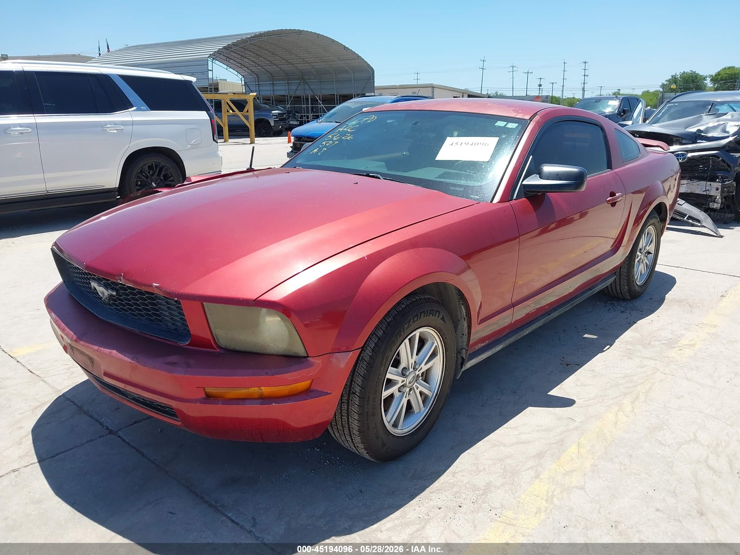 2006 Ford Mustang V6 Red vin: 1ZVFT80N165239481