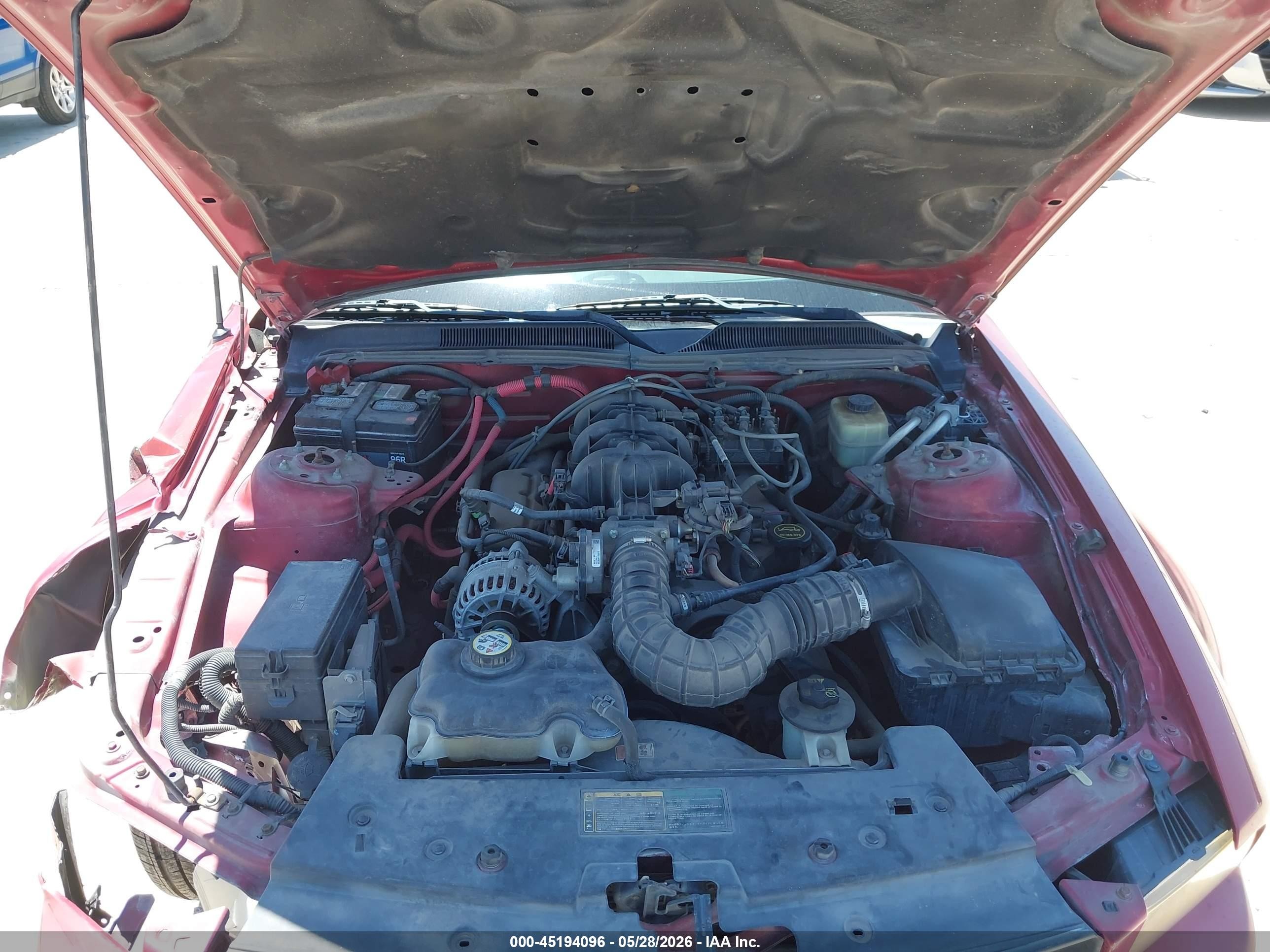2006 Ford Mustang V6 Red vin: 1ZVFT80N165239481