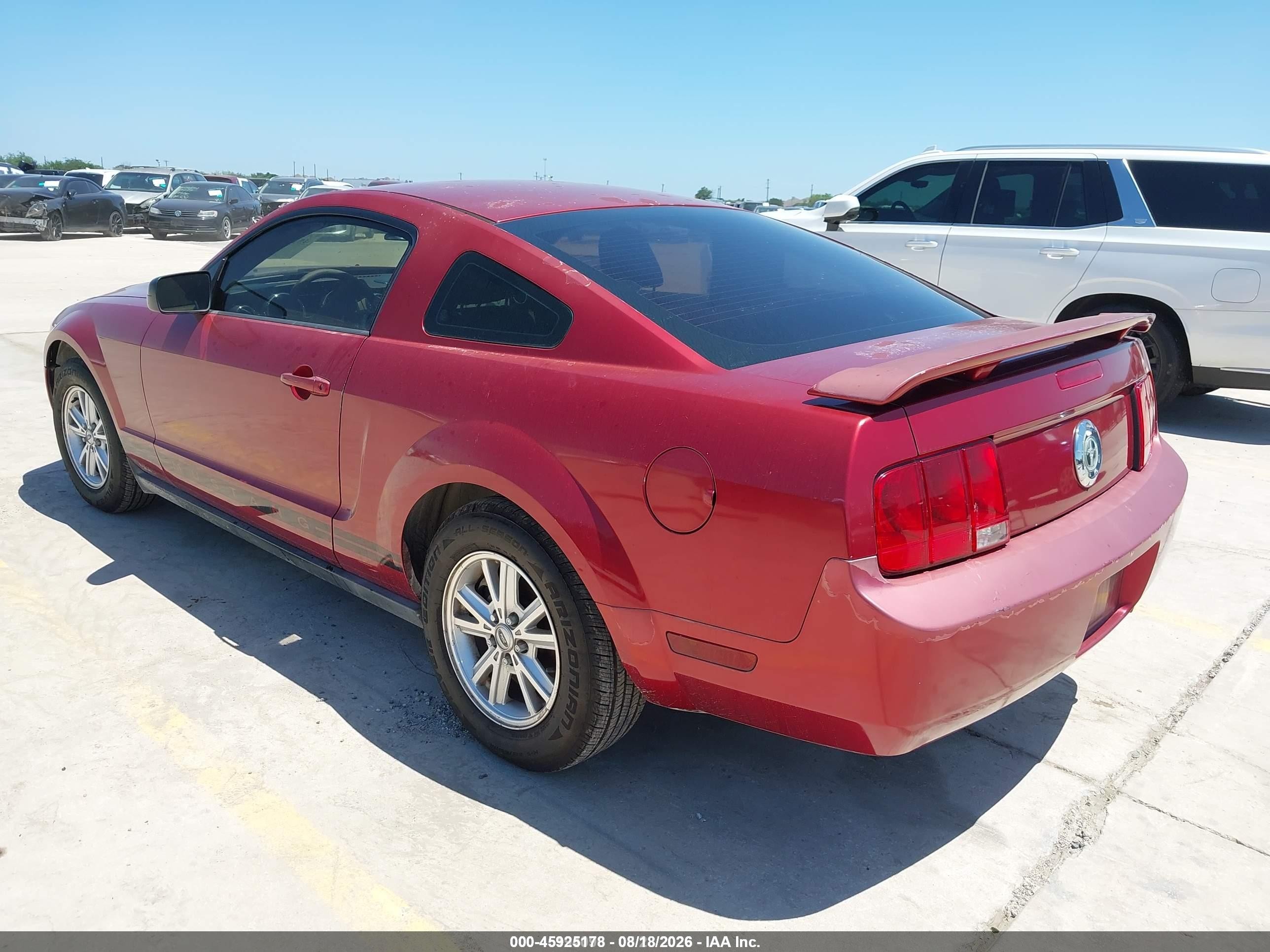 2006 Ford Mustang V6 Красный vin: 1ZVFT80N165239481