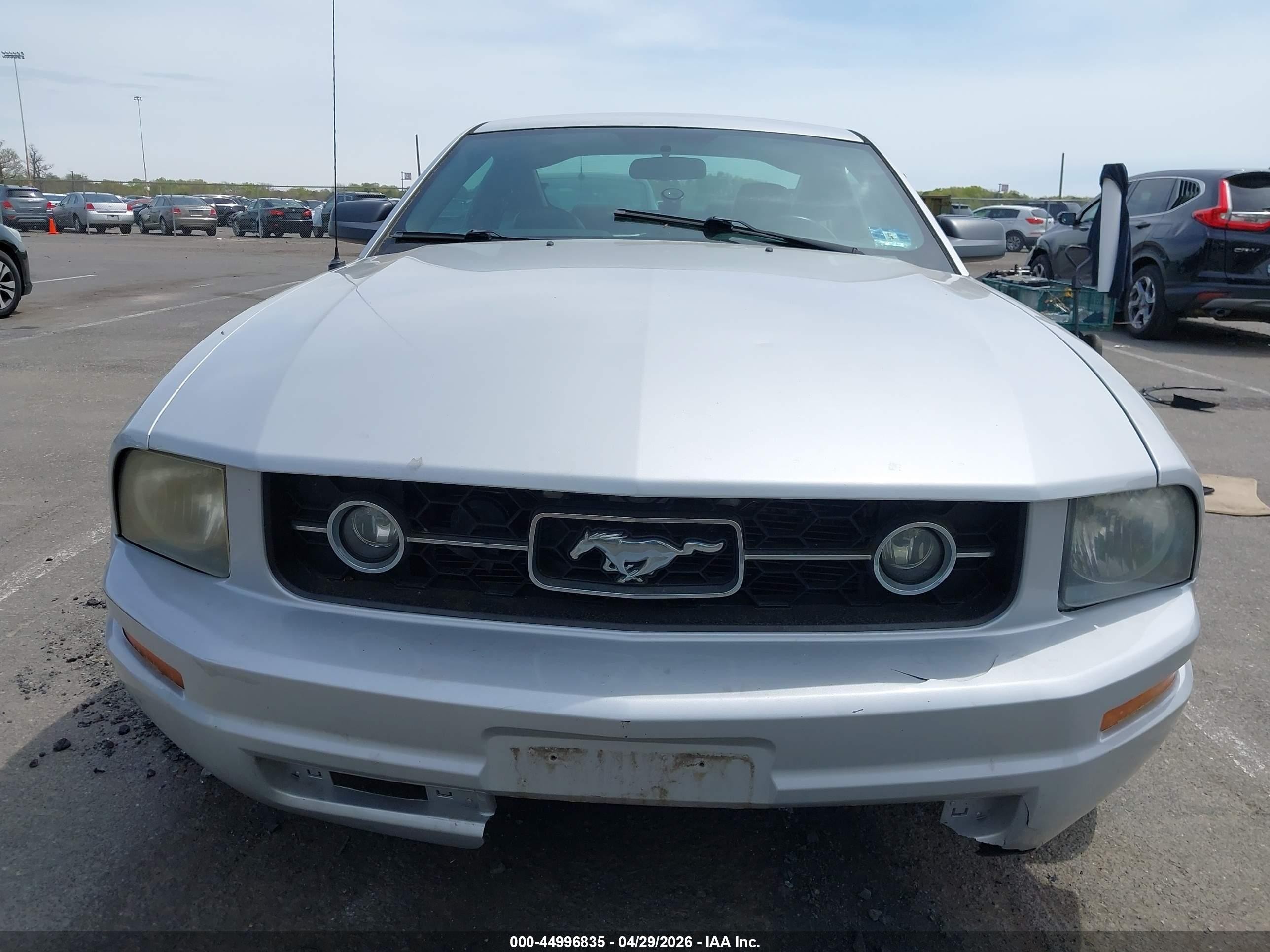 2007 Ford Mustang V6 Deluxe/v6 Premium Silver vin: 1ZVFT80N175244052