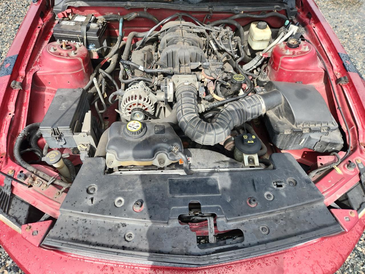 2007 Ford Mustang Бордовый vin: 1ZVFT80N175308784