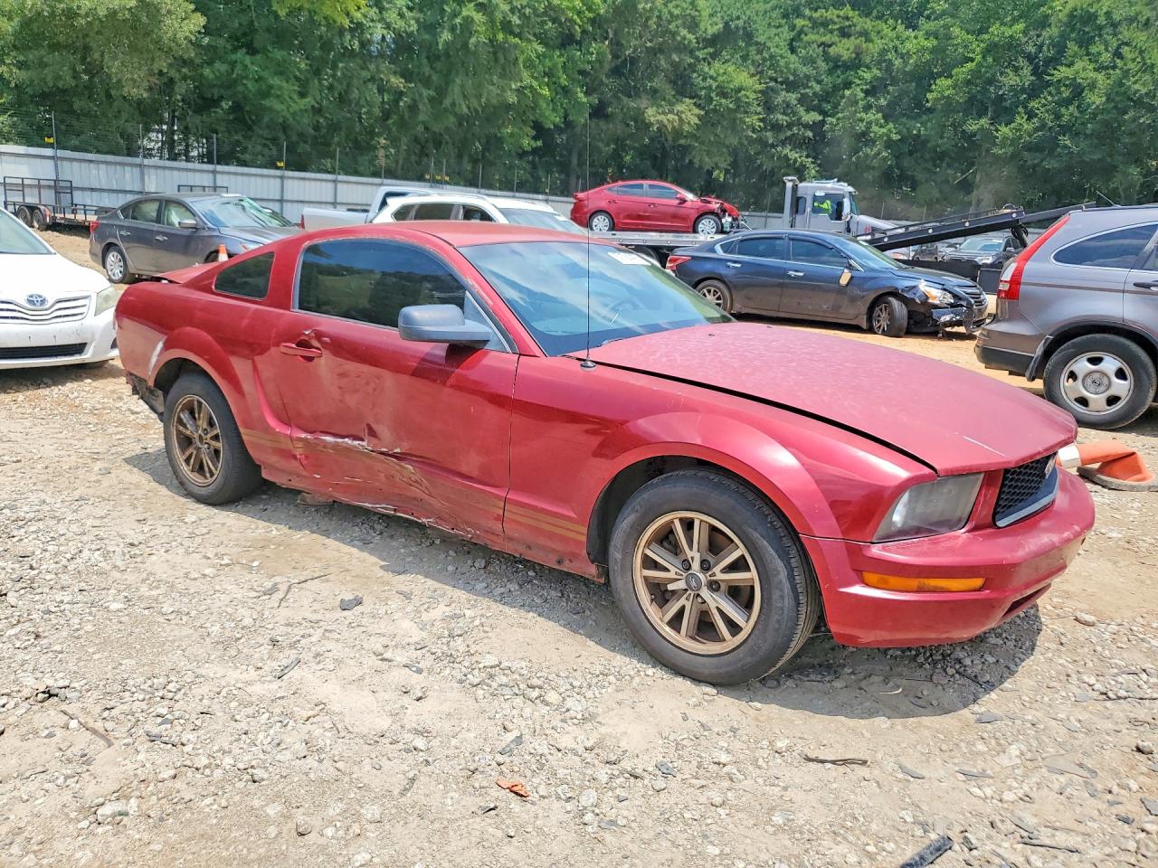 2005 Ford Mustang Red vin: 1ZVFT80N255103987