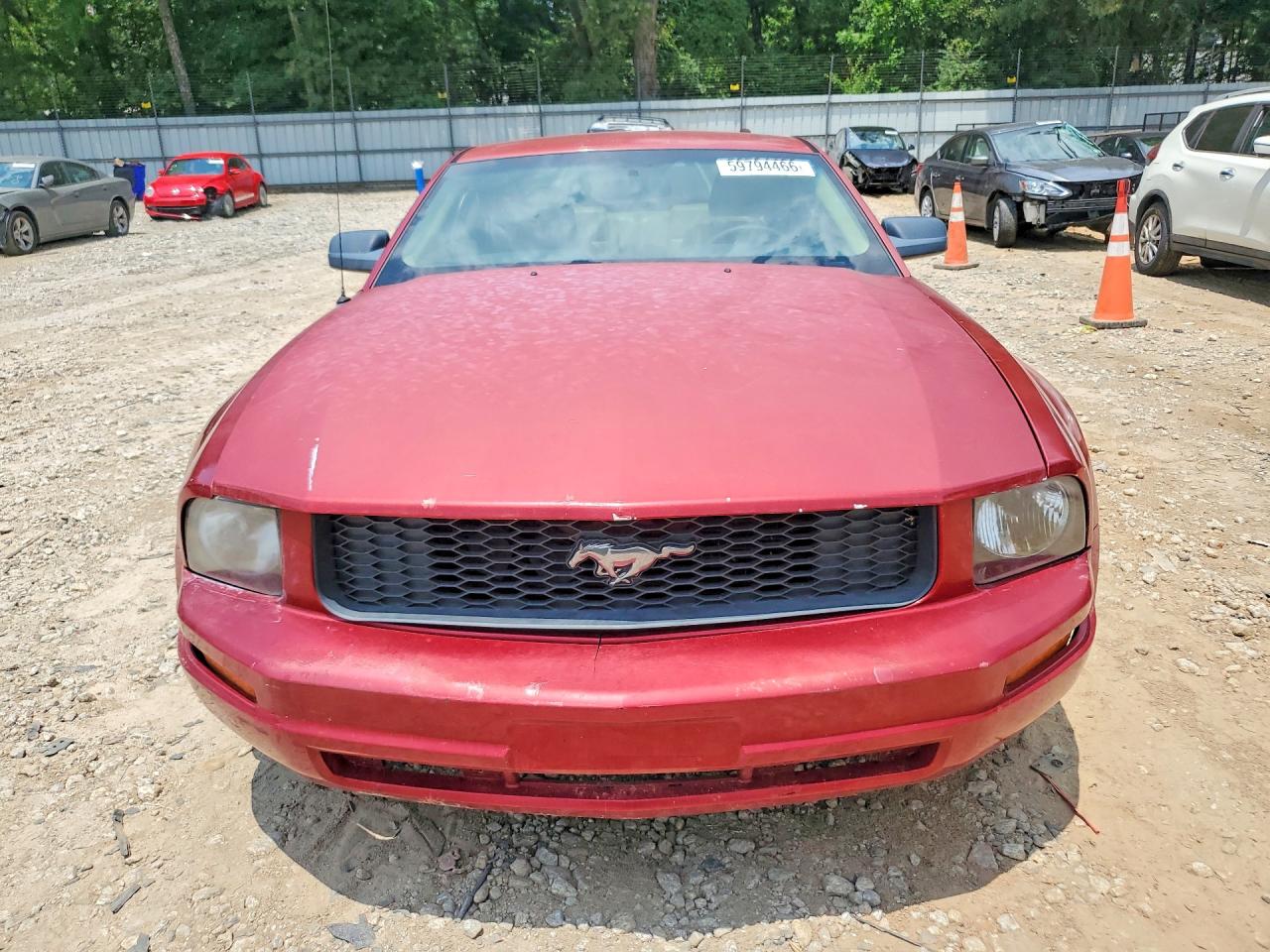 2005 Ford Mustang Red vin: 1ZVFT80N255103987