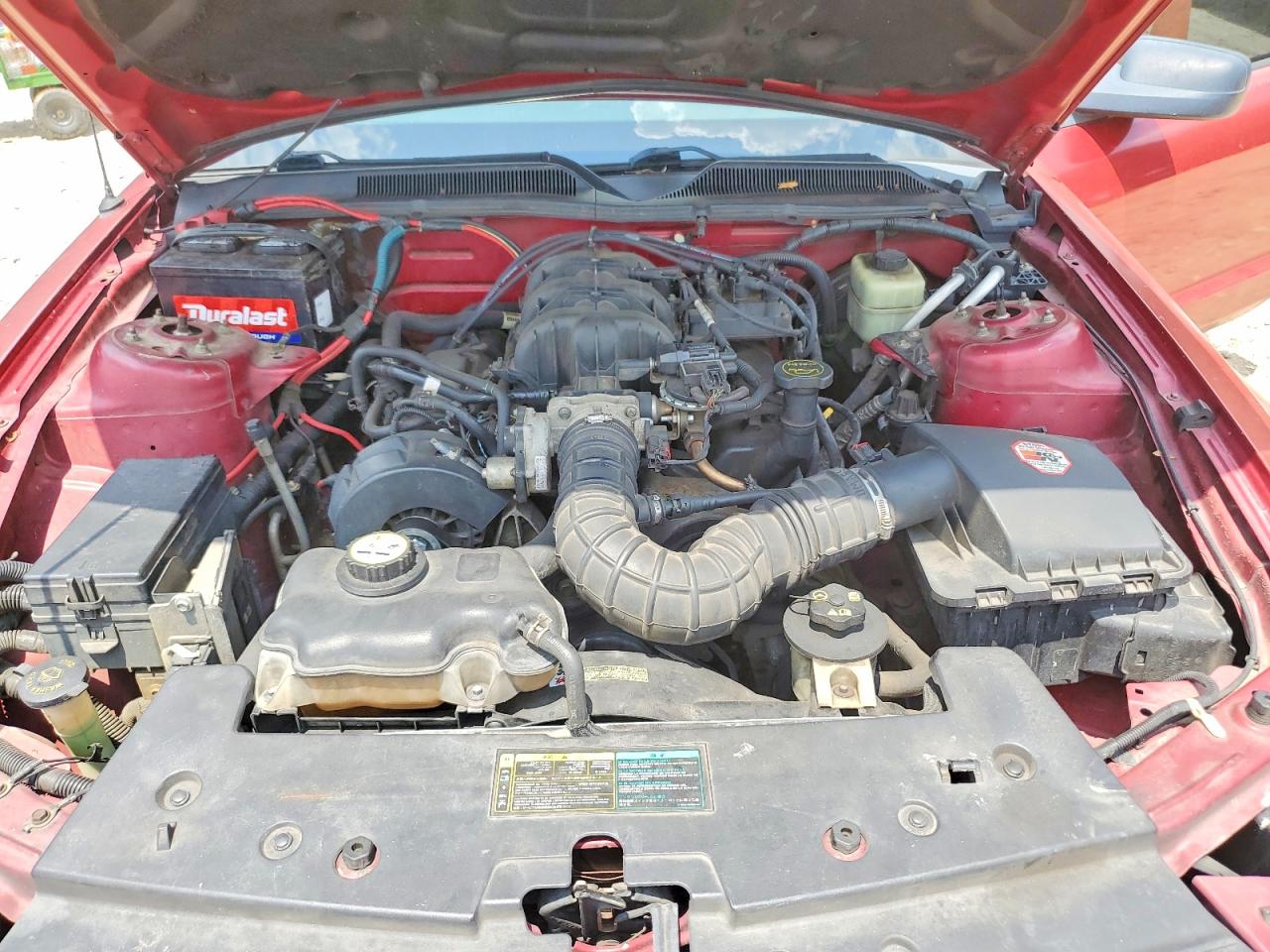 2005 Ford Mustang Red vin: 1ZVFT80N255103987