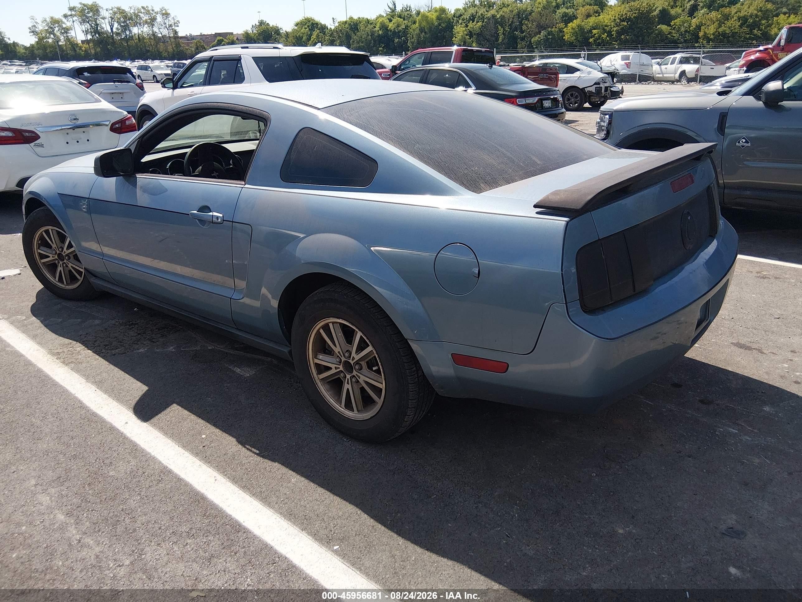 2005 Ford Mustang V6 Deluxe/v6 Premium Blue vin: 1ZVFT80N255125892