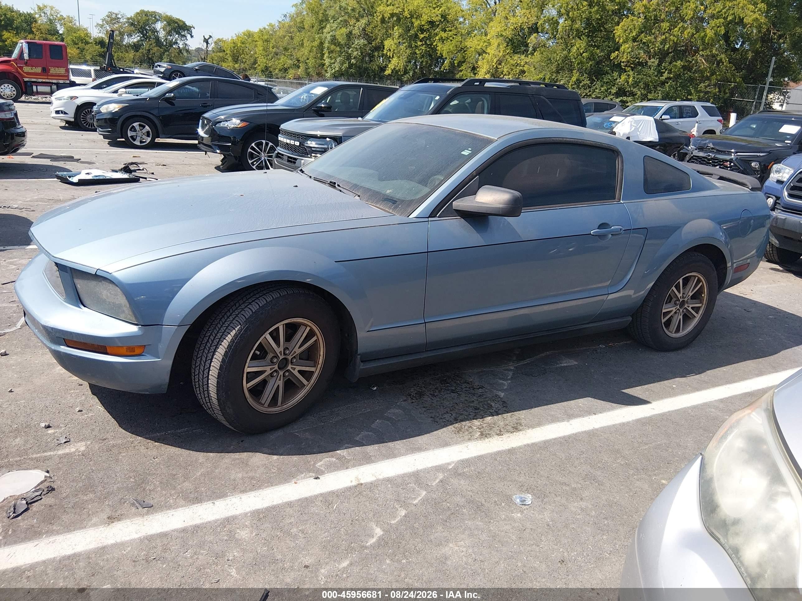 2005 Ford Mustang V6 Deluxe/v6 Premium Blue vin: 1ZVFT80N255125892