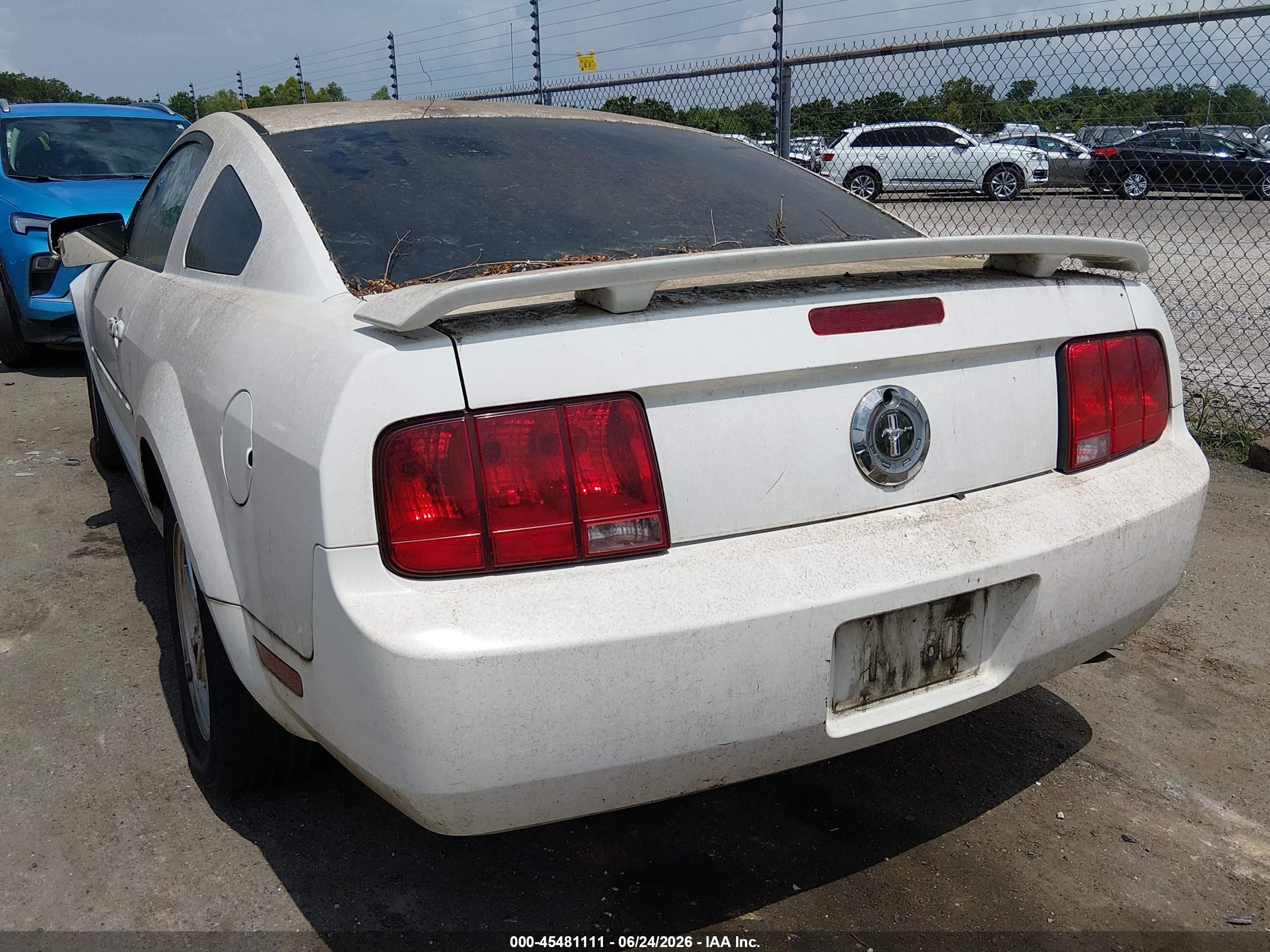 2005 Ford Mustang V6 Deluxe/v6 Premium White vin: 1ZVFT80N255158939