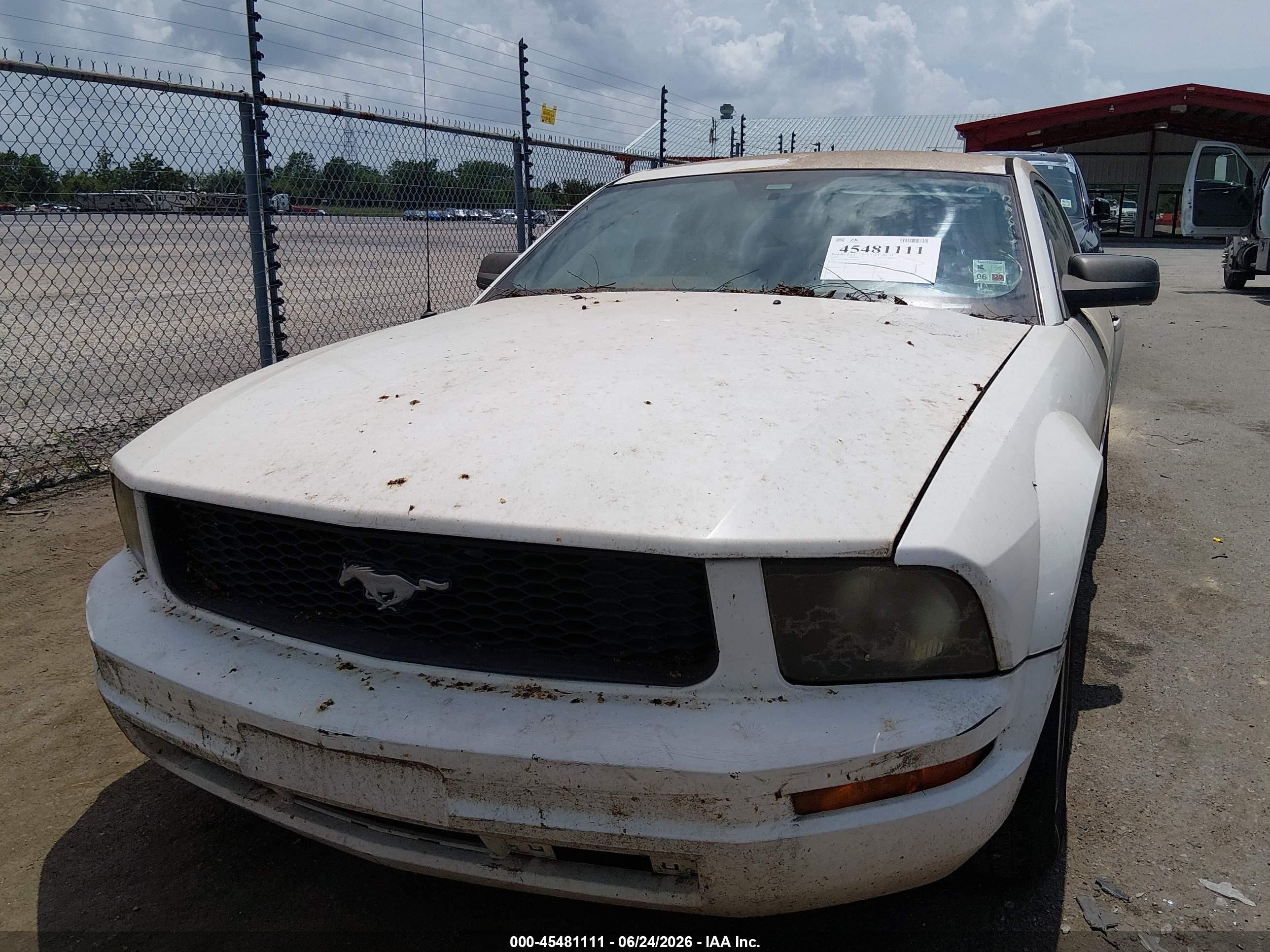 2005 Ford Mustang V6 Deluxe/v6 Premium White vin: 1ZVFT80N255158939