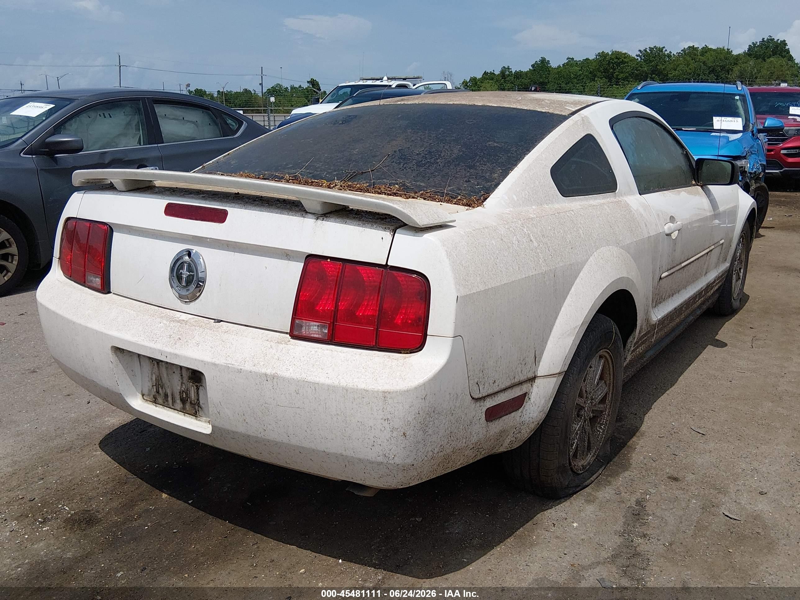 2005 Ford Mustang V6 Deluxe/v6 Premium White vin: 1ZVFT80N255158939