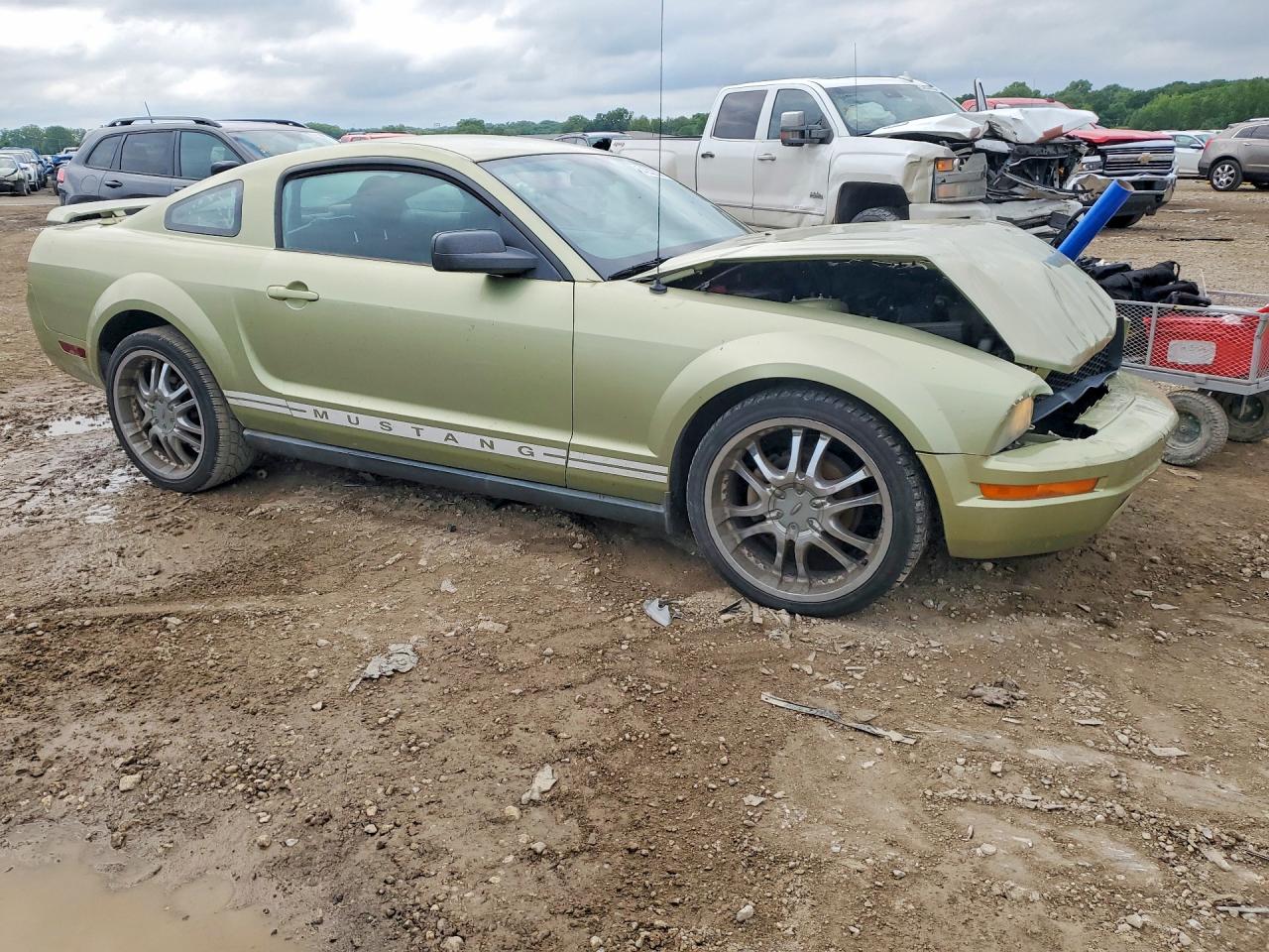 2005 Ford Mustang Green vin: 1ZVFT80N255195215