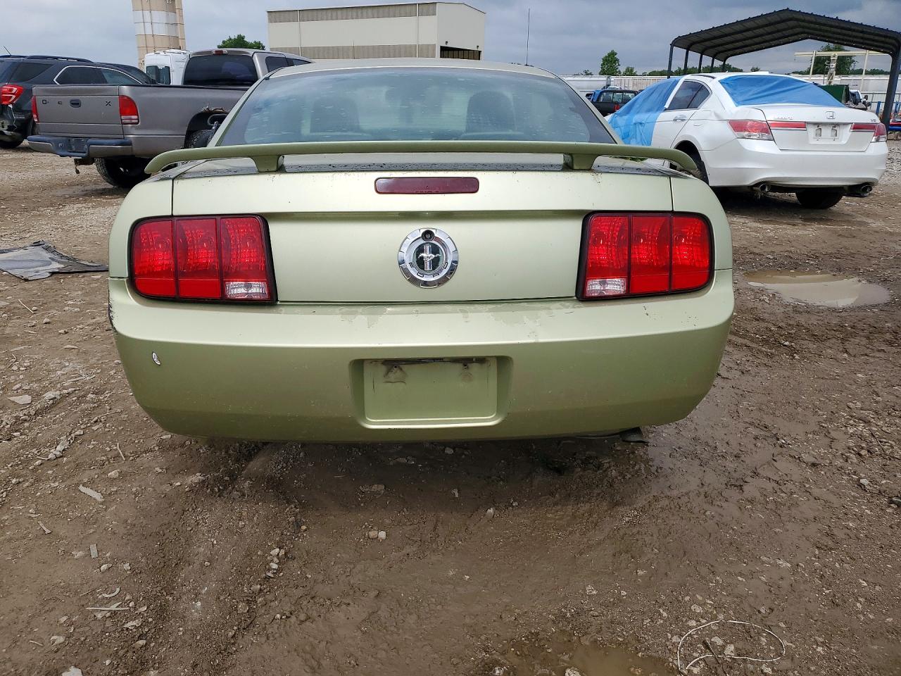 2005 Ford Mustang Green vin: 1ZVFT80N255195215