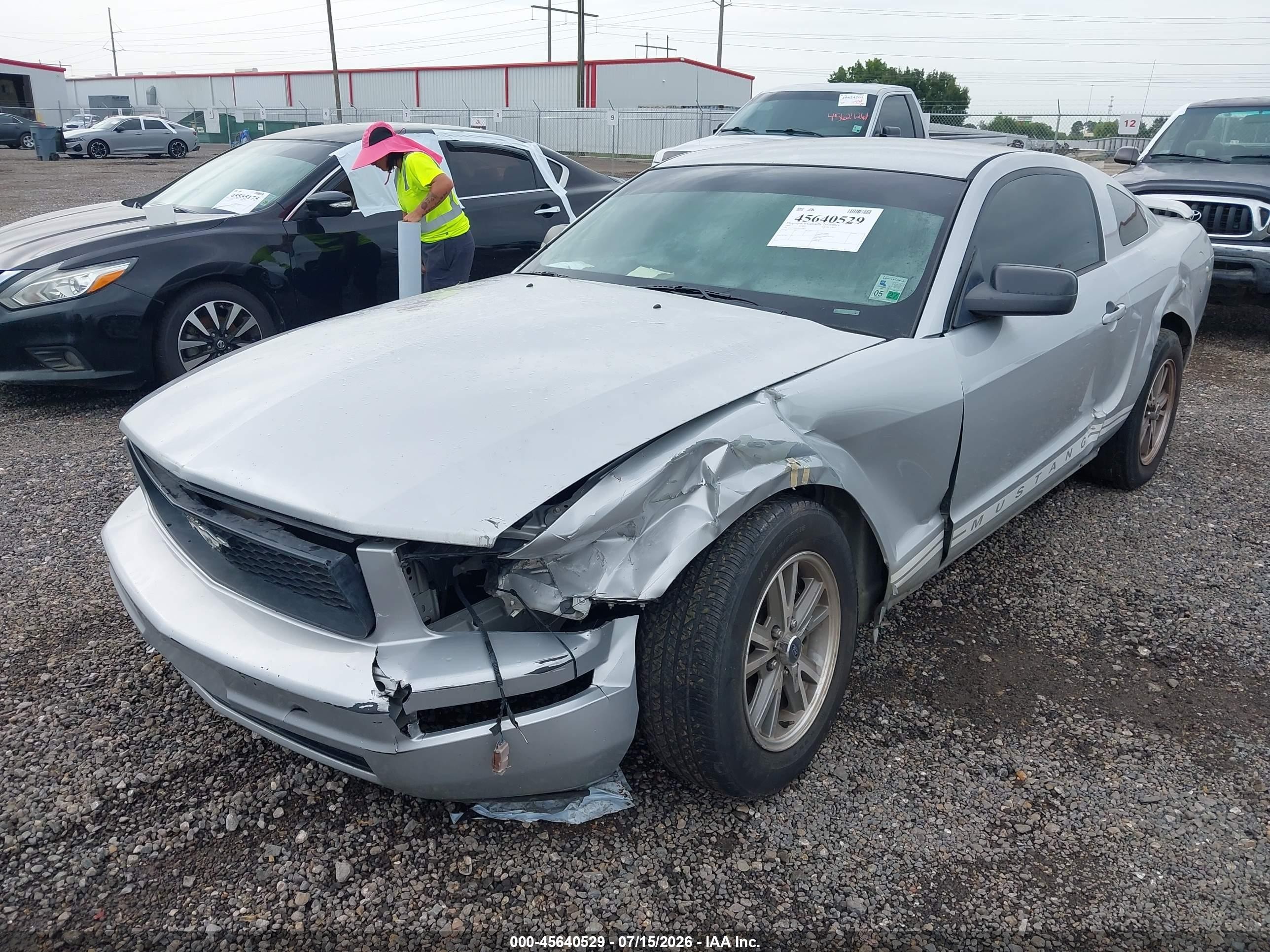 2005 Ford Mustang V6 Deluxe/v6 Premium Silver vin: 1ZVFT80N255230951