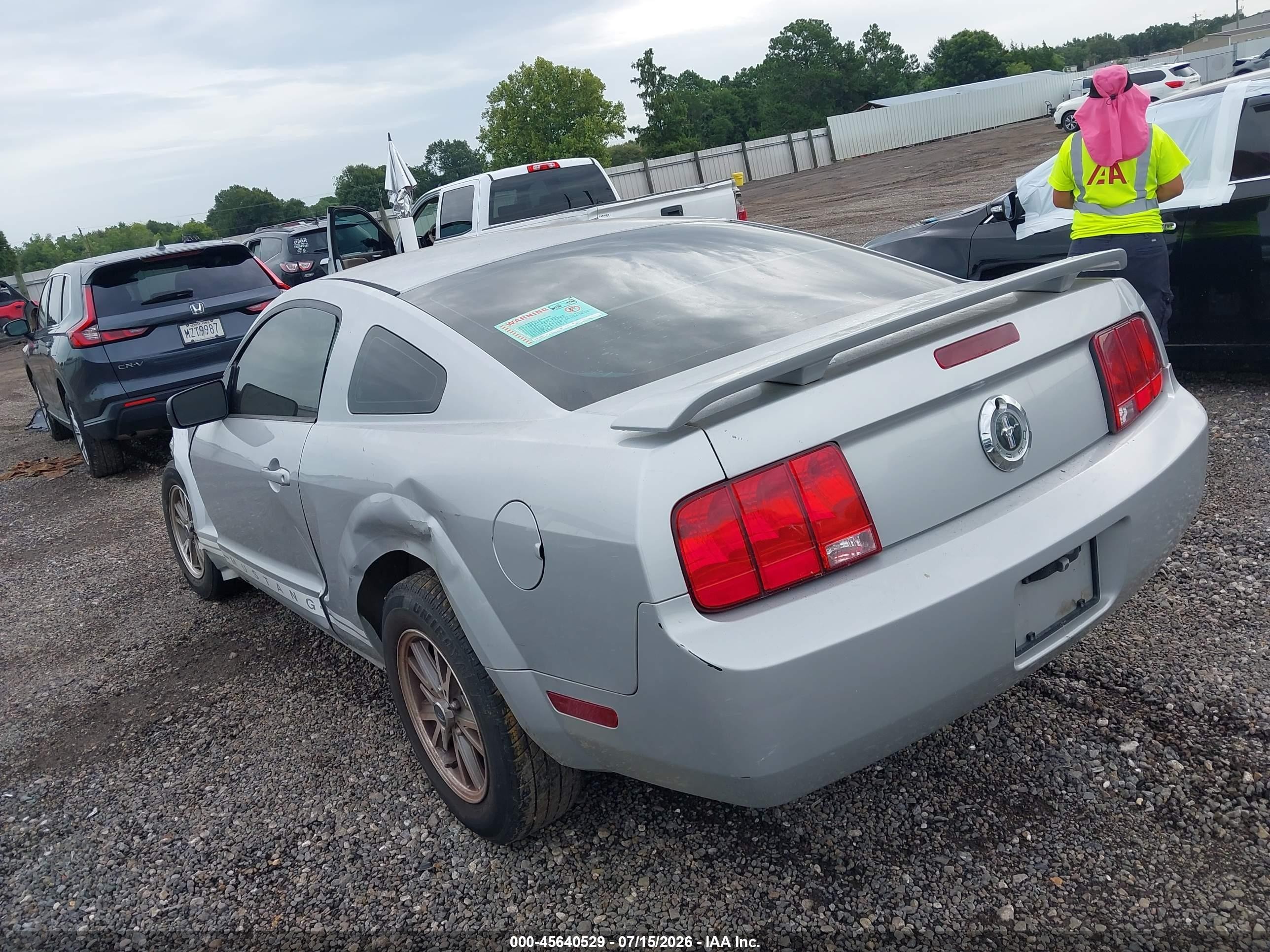 2005 Ford Mustang V6 Deluxe/v6 Premium Silver vin: 1ZVFT80N255230951