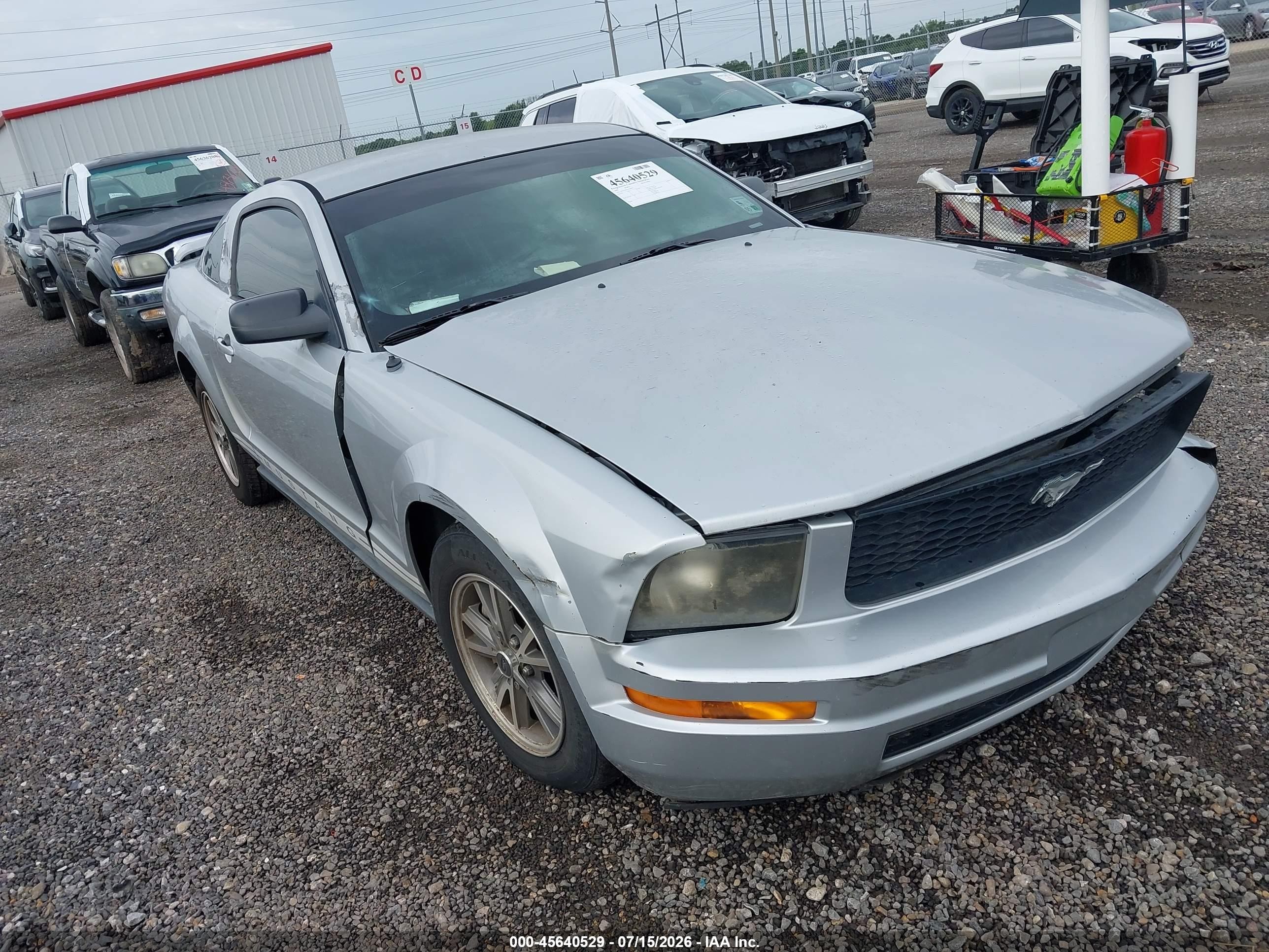 1ZVFT80N255230951