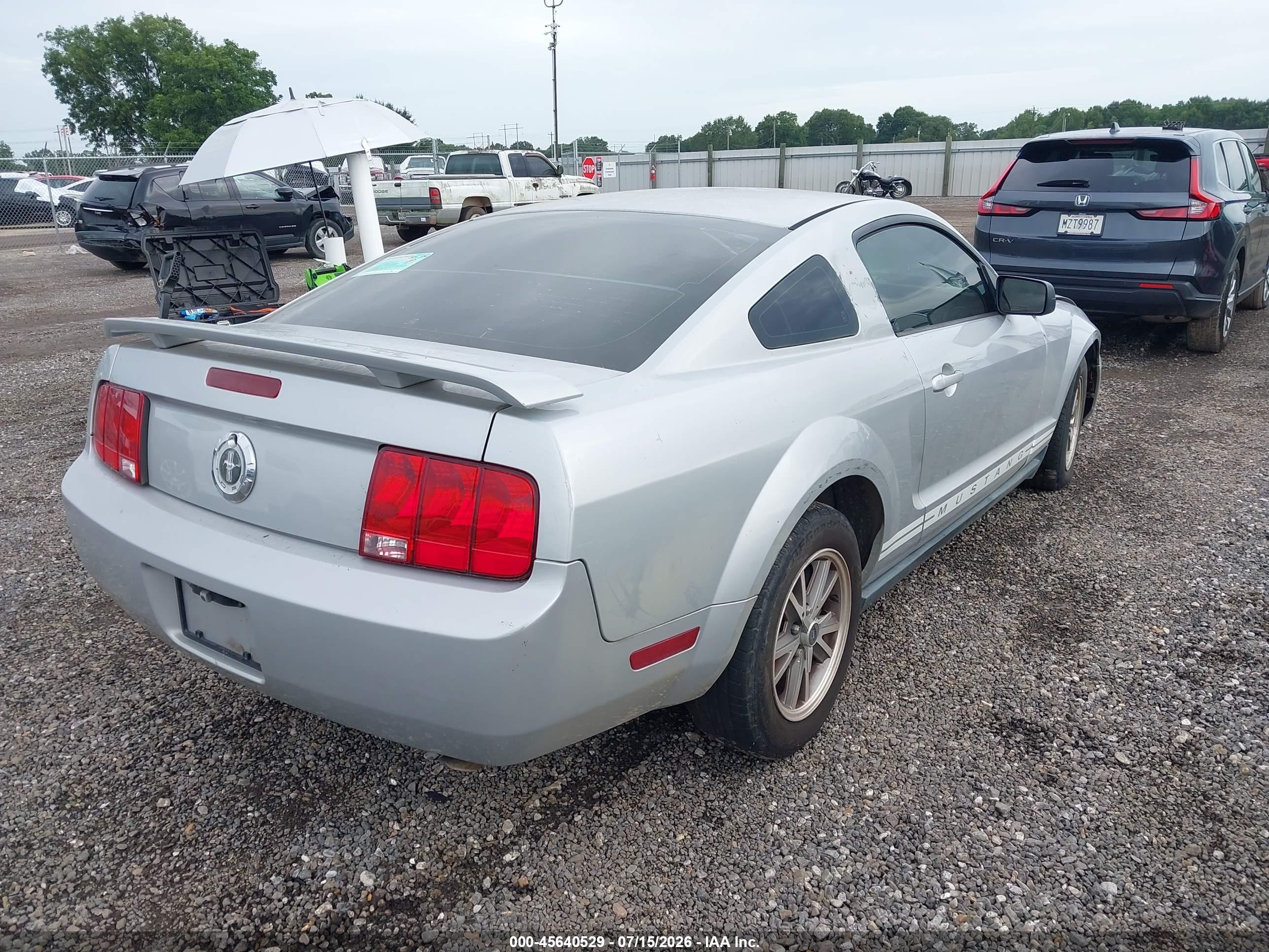 2005 Ford Mustang V6 Deluxe/v6 Premium Silver vin: 1ZVFT80N255230951
