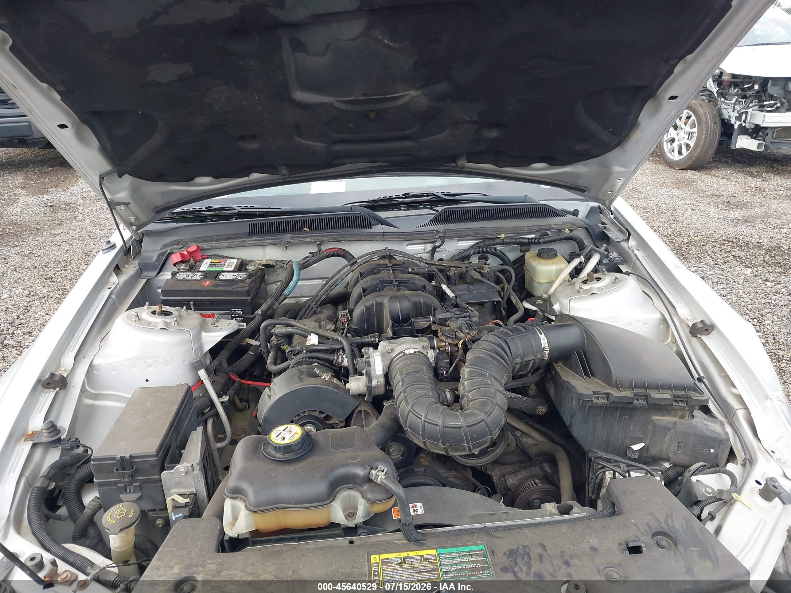 2005 Ford Mustang V6 Deluxe/v6 Premium Silver vin: 1ZVFT80N255230951