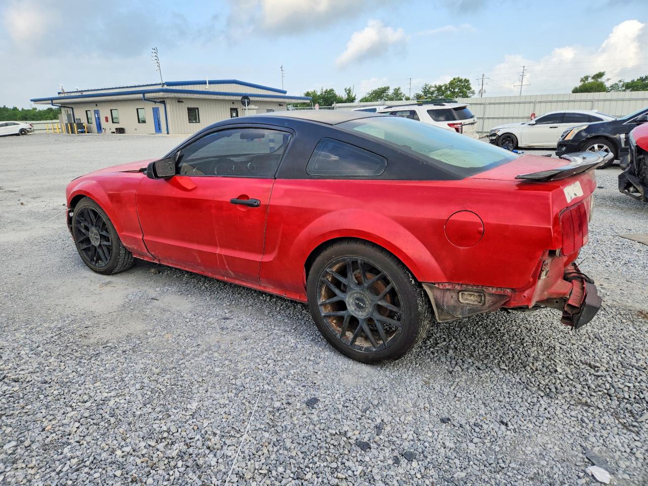 2005 Ford Mustang Red vin: 1ZVFT80N255237382