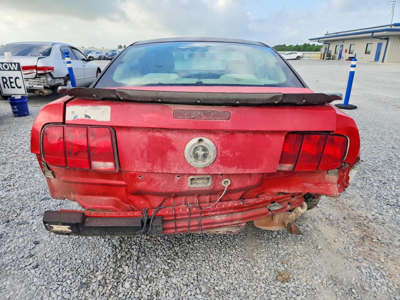 2005 Ford Mustang Red vin: 1ZVFT80N255237382