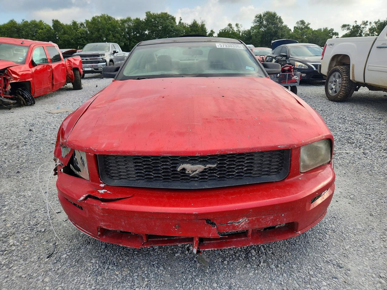 2005 Ford Mustang Red vin: 1ZVFT80N255237382