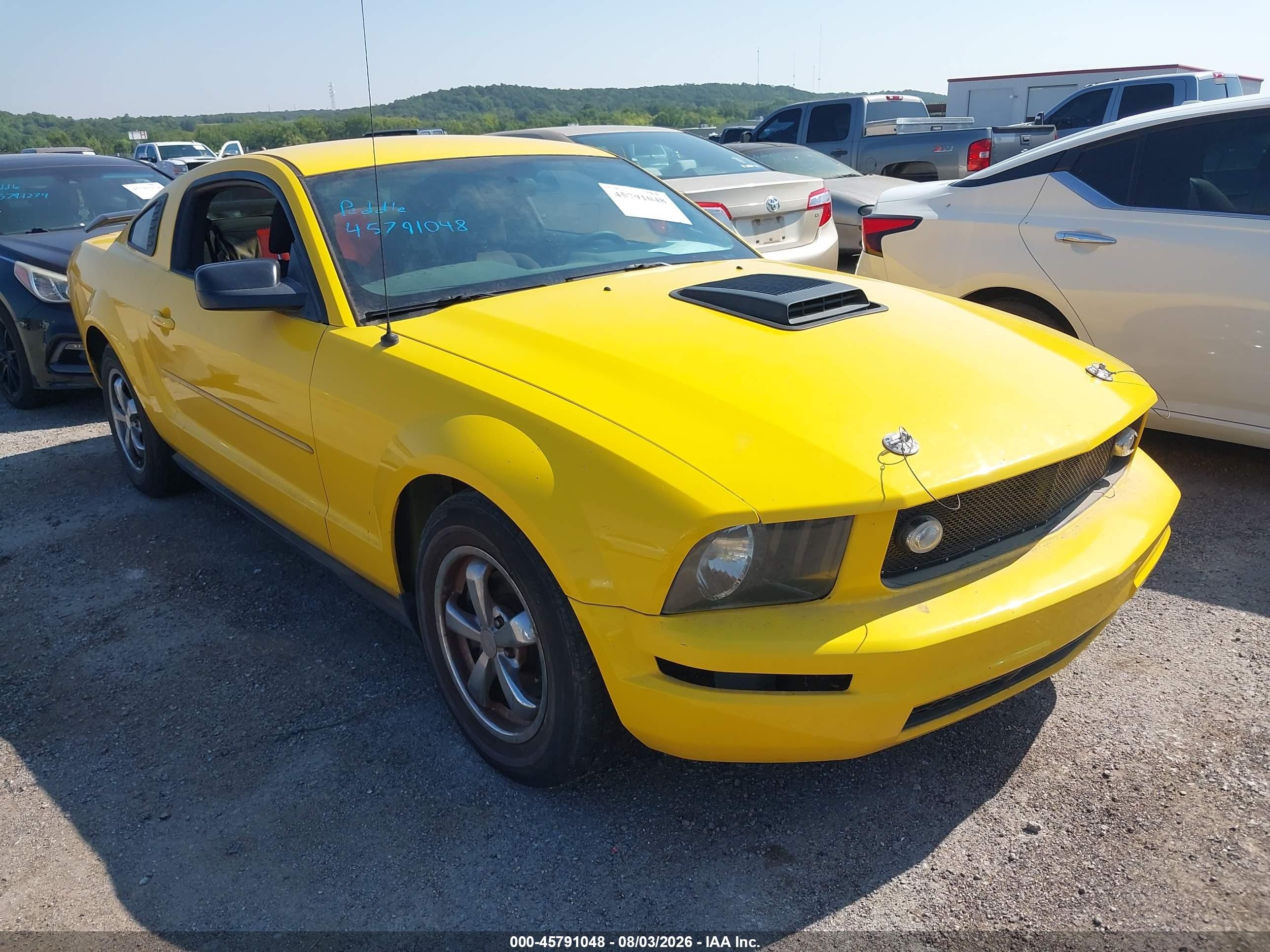 2006 Ford Mustang V6 Yellow vin: 1ZVFT80N265192834