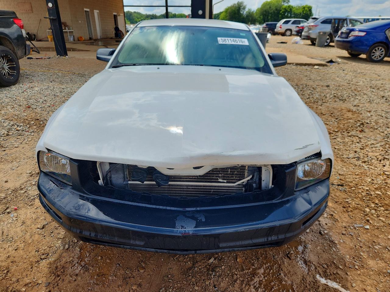 2006 Ford Mustang White vin: 1ZVFT80N265250845