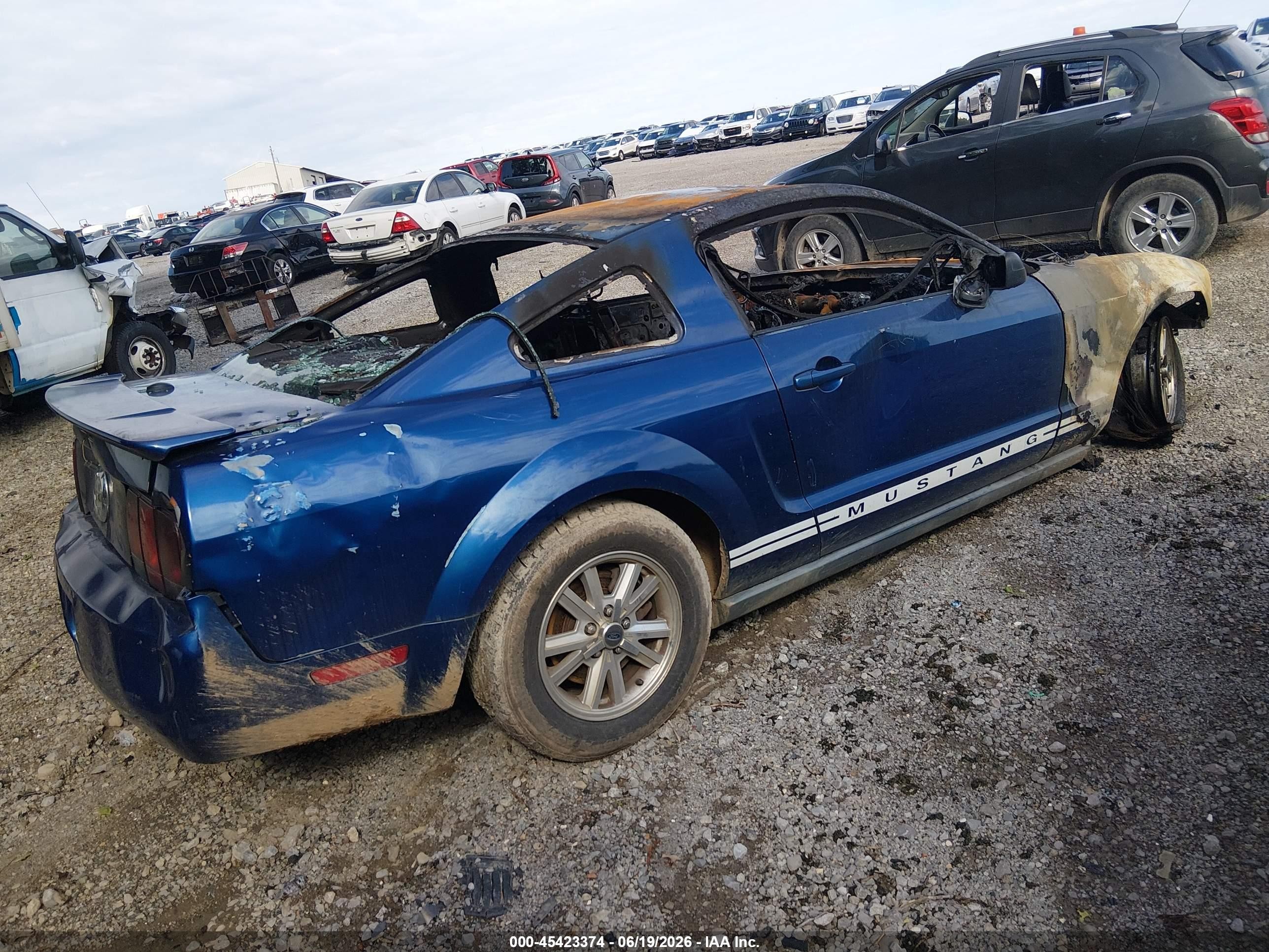 2007 Ford Mustang V6 Deluxe/v6 Premium Dark Blue vin: 1ZVFT80N275320345