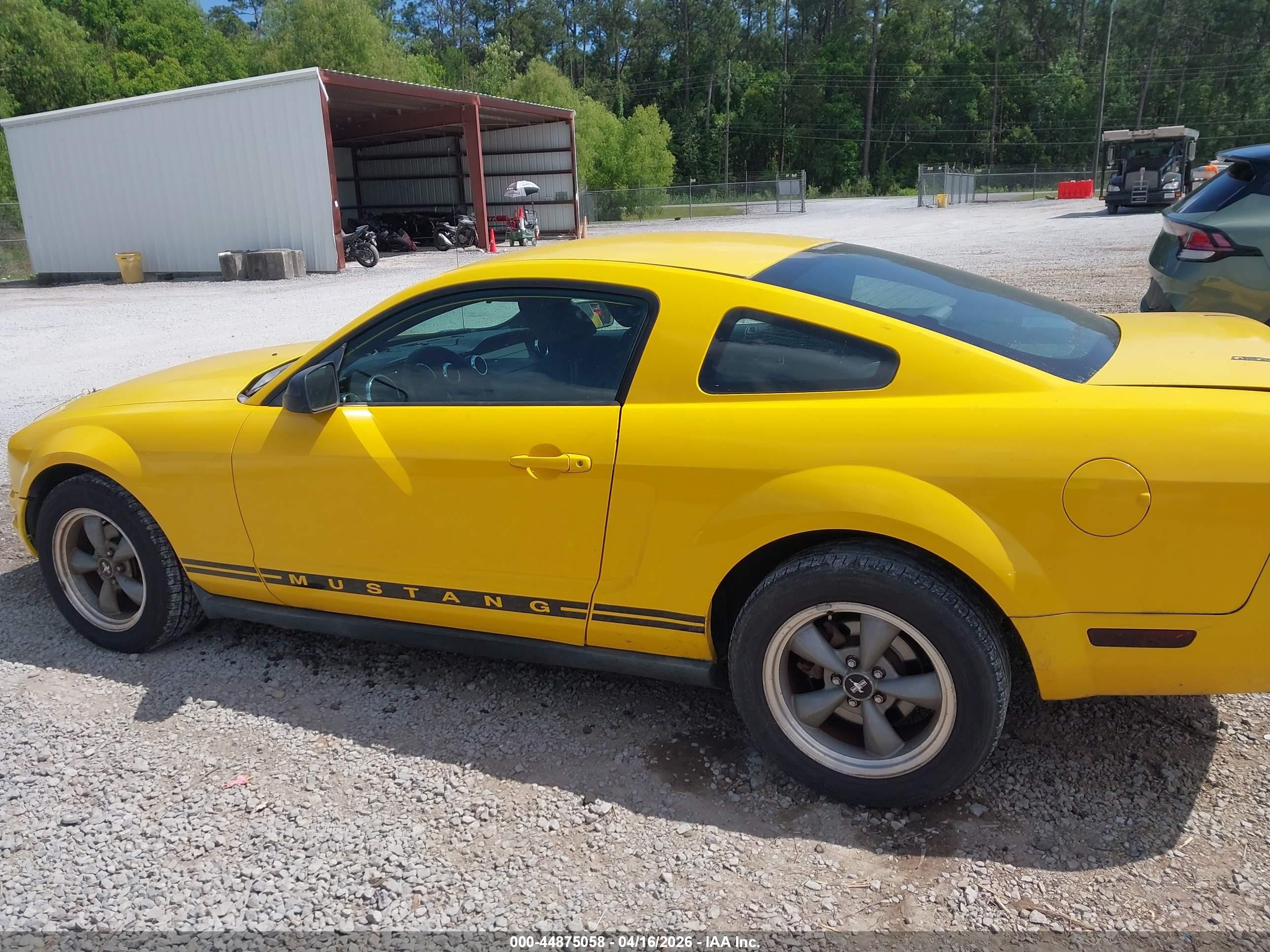 2005 Ford Mustang V6 Deluxe/v6 Premium Yellow vin: 1ZVFT80N355114299
