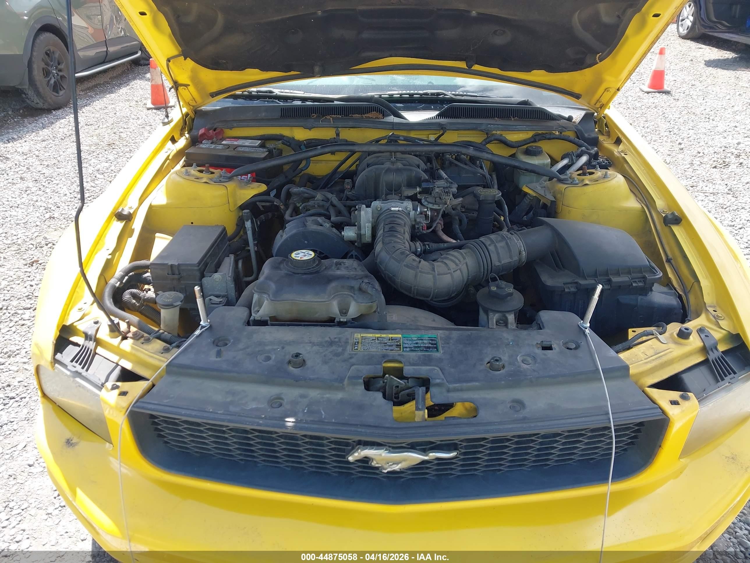 2005 Ford Mustang V6 Deluxe/v6 Premium Yellow vin: 1ZVFT80N355114299