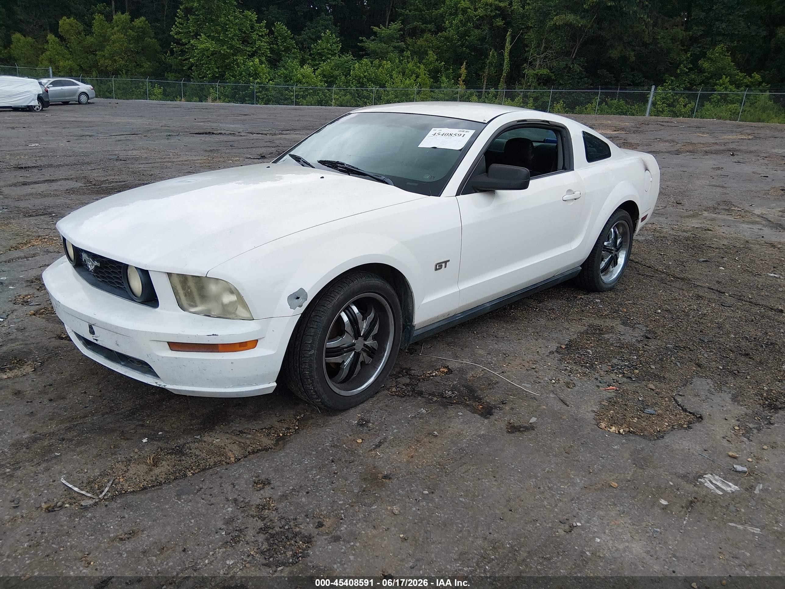 2005 Ford Mustang V6 Deluxe/v6 Premium White vin: 1ZVFT80N355131037