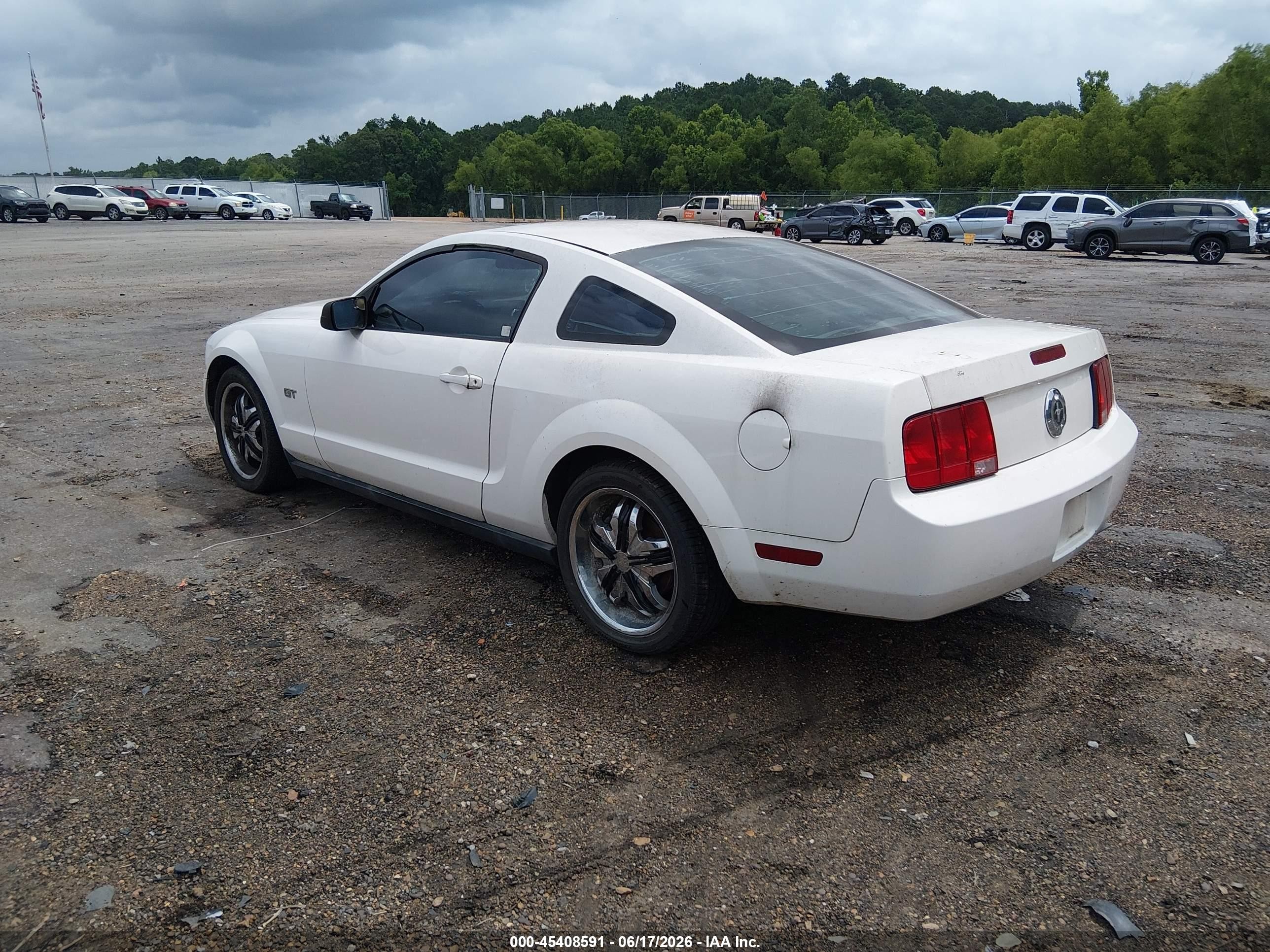 2005 Ford Mustang V6 Deluxe/v6 Premium White vin: 1ZVFT80N355131037