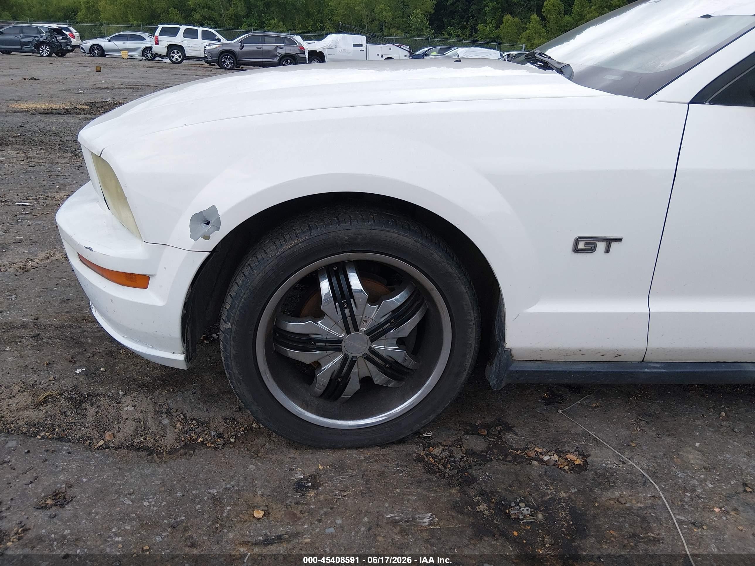 2005 Ford Mustang V6 Deluxe/v6 Premium White vin: 1ZVFT80N355131037
