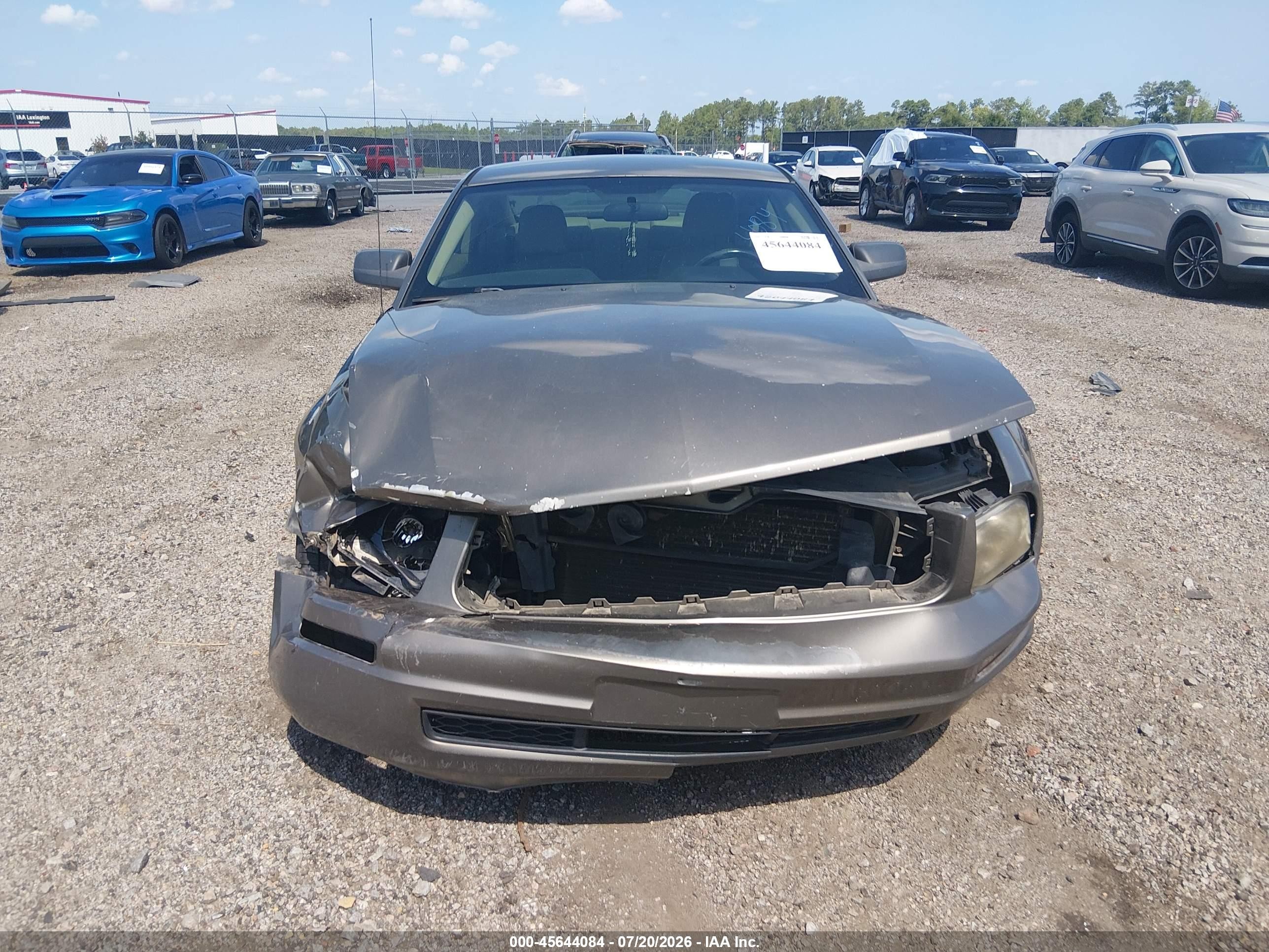 2005 Ford Mustang V6 Deluxe/v6 Premium Серый vin: 1ZVFT80N355135038