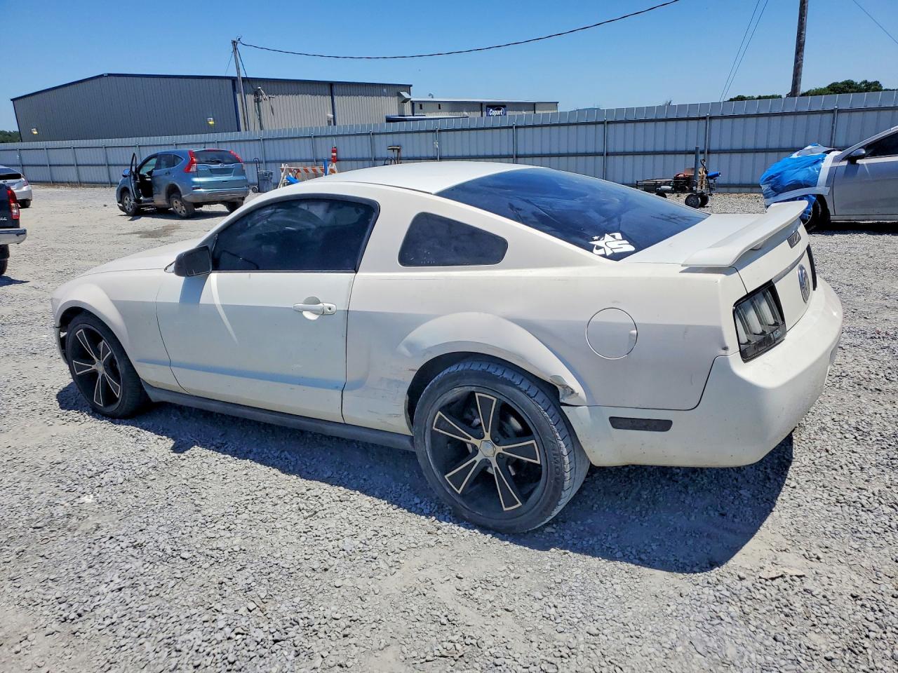 2005 Ford Mustang White vin: 1ZVFT80N355150056