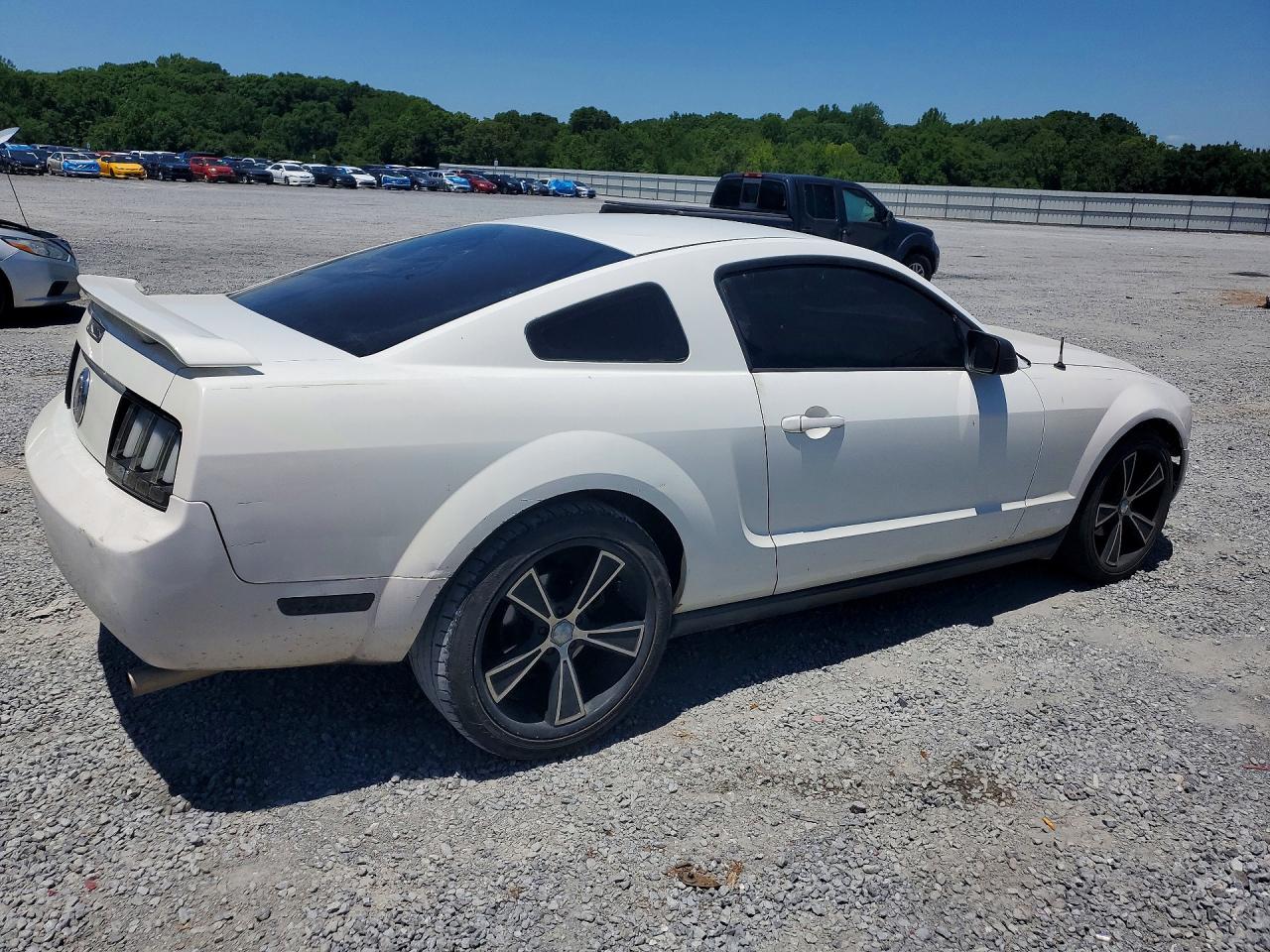 2005 Ford Mustang White vin: 1ZVFT80N355150056