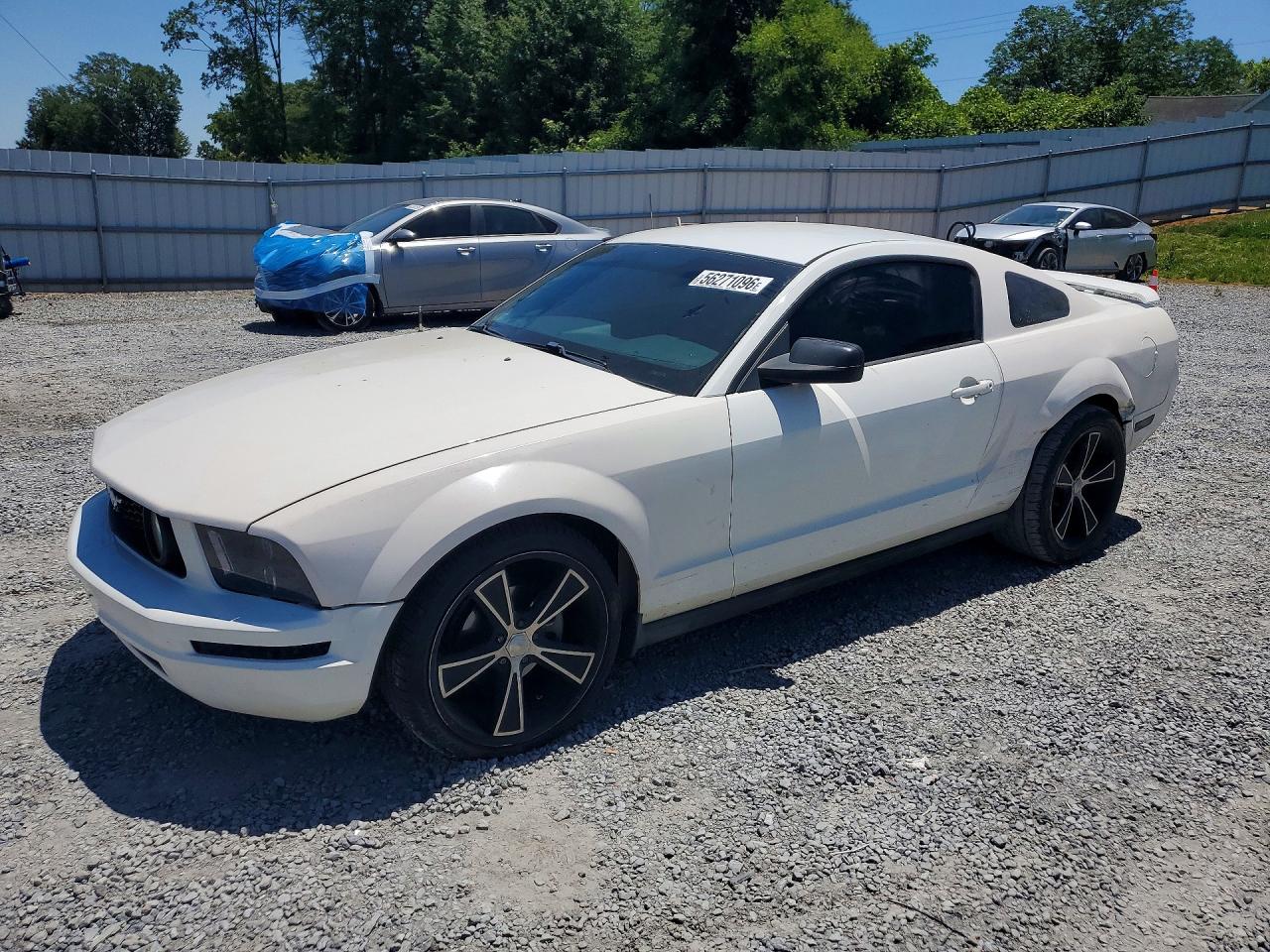 2005 Ford Mustang White vin: 1ZVFT80N355150056