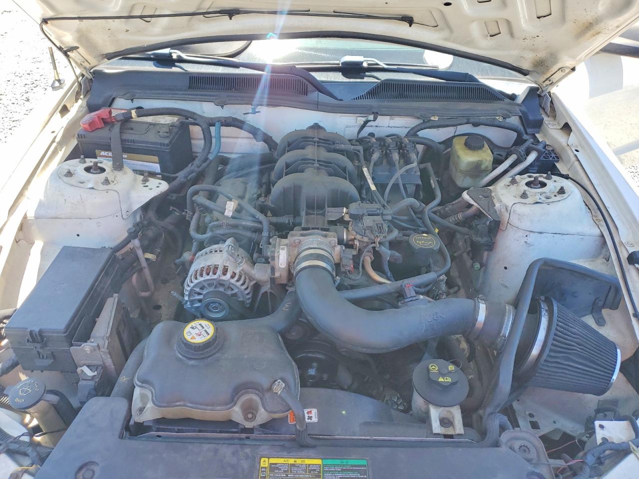 2005 Ford Mustang White vin: 1ZVFT80N355150056